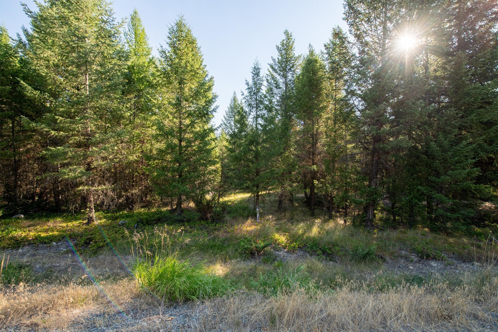 Lot 16 Evergreen Drive