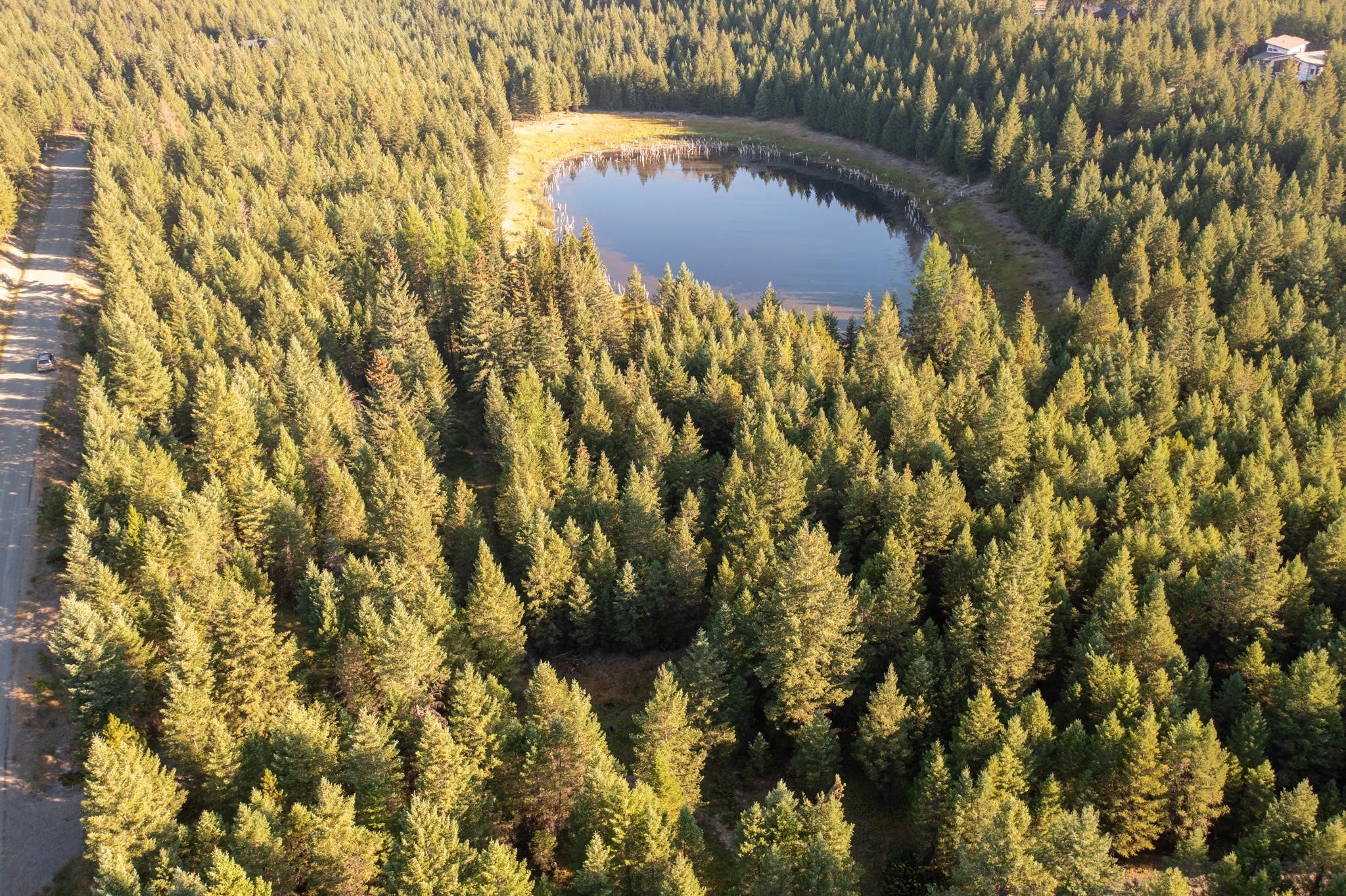 Lot 16 Evergreen Drive