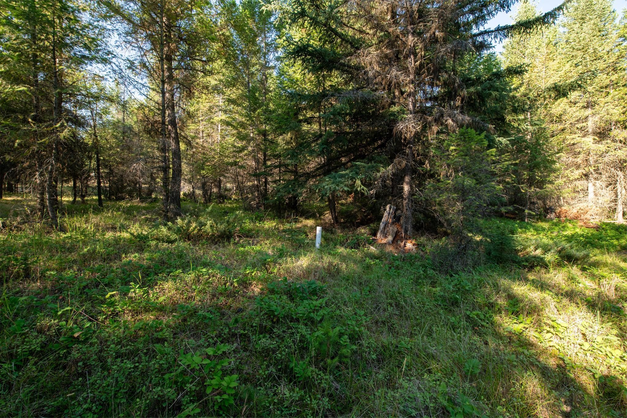 Lot 16 Evergreen Drive