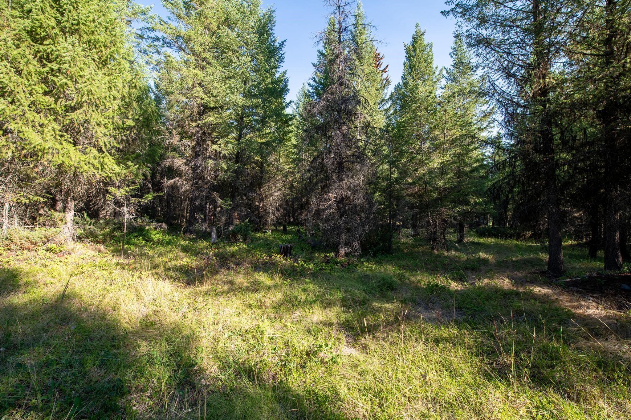 Lot 16 Evergreen Drive