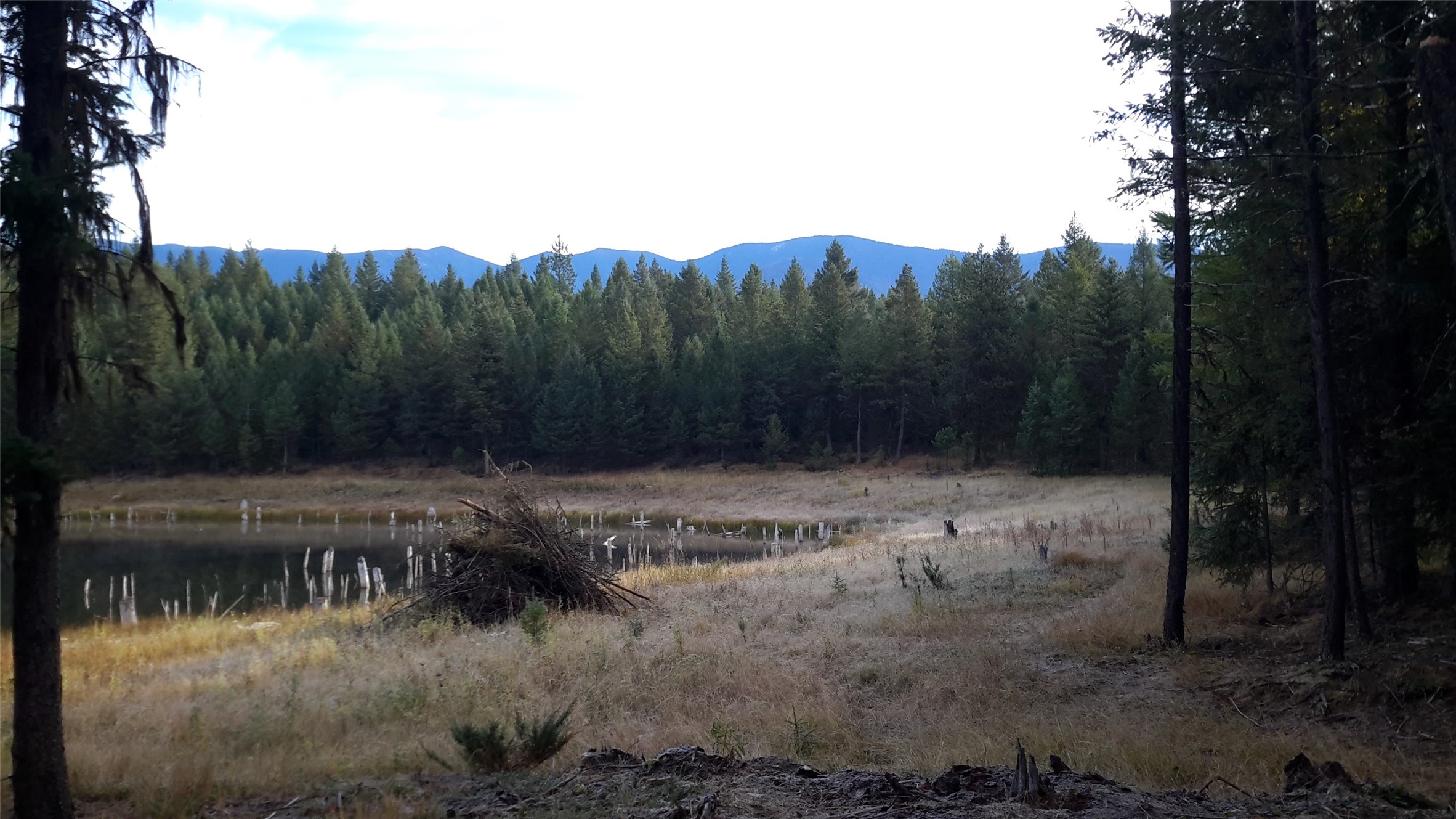 Lot 16 Evergreen Drive