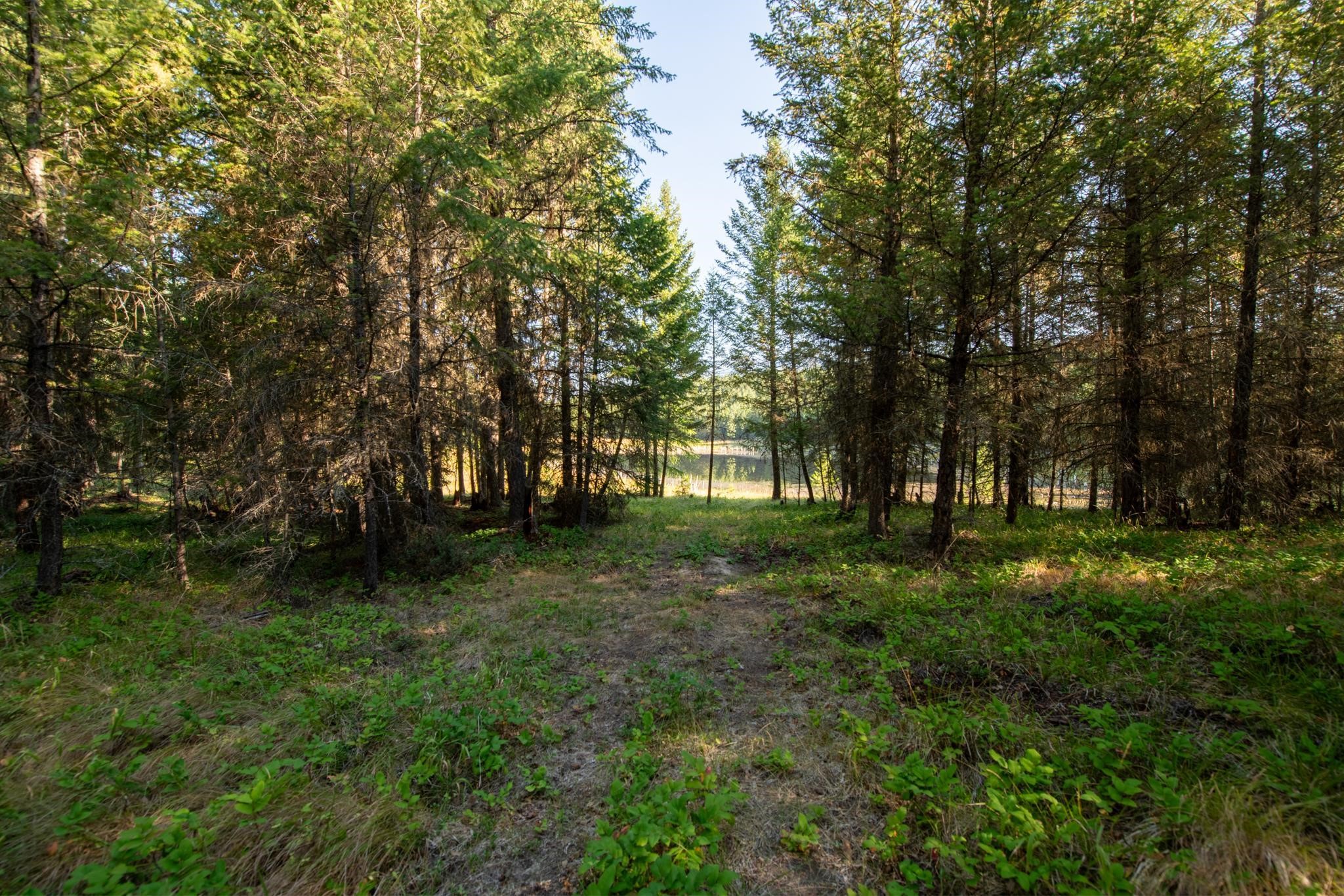 Lot 16 Evergreen Drive