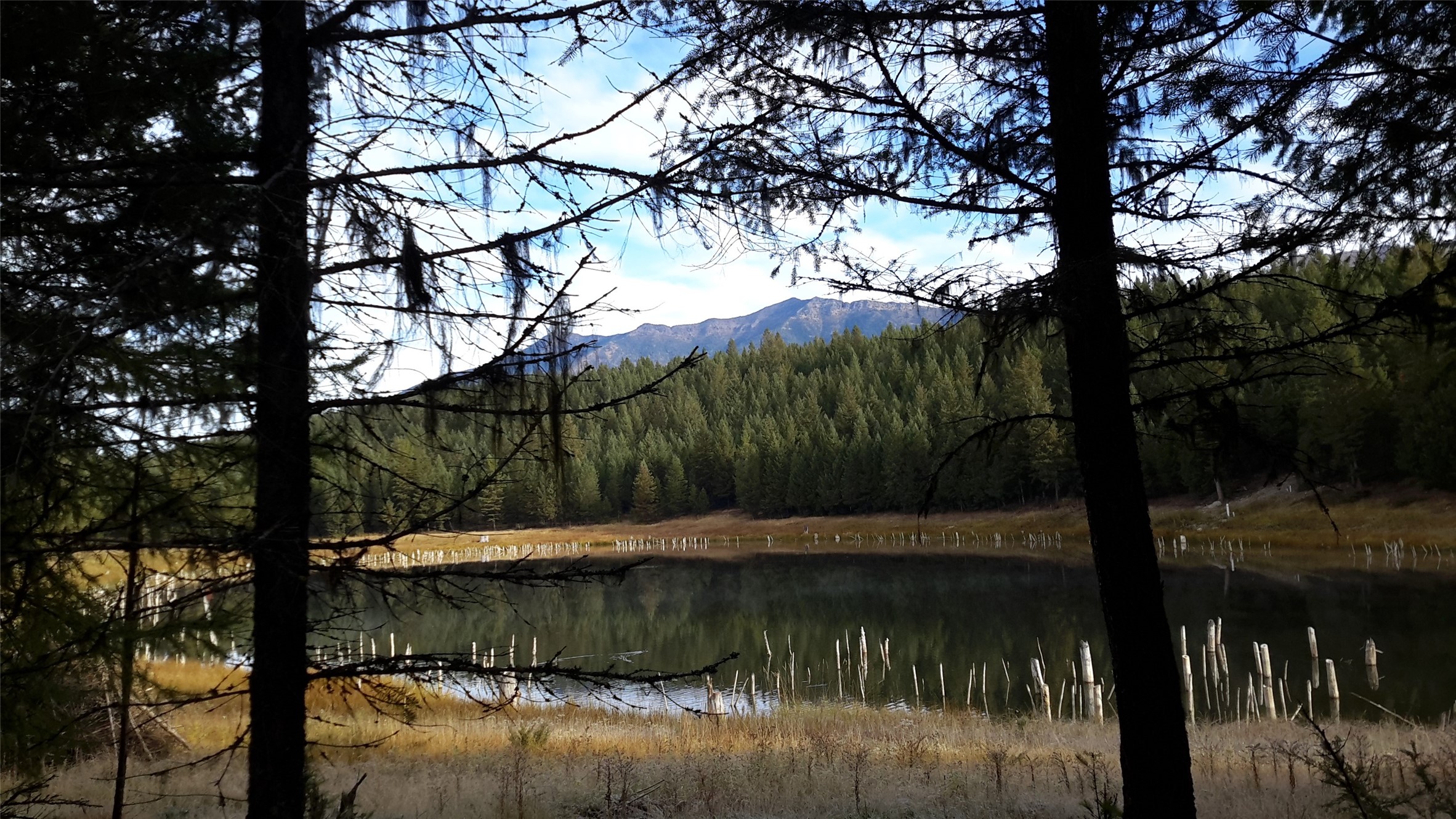 Lot 16 Evergreen Drive