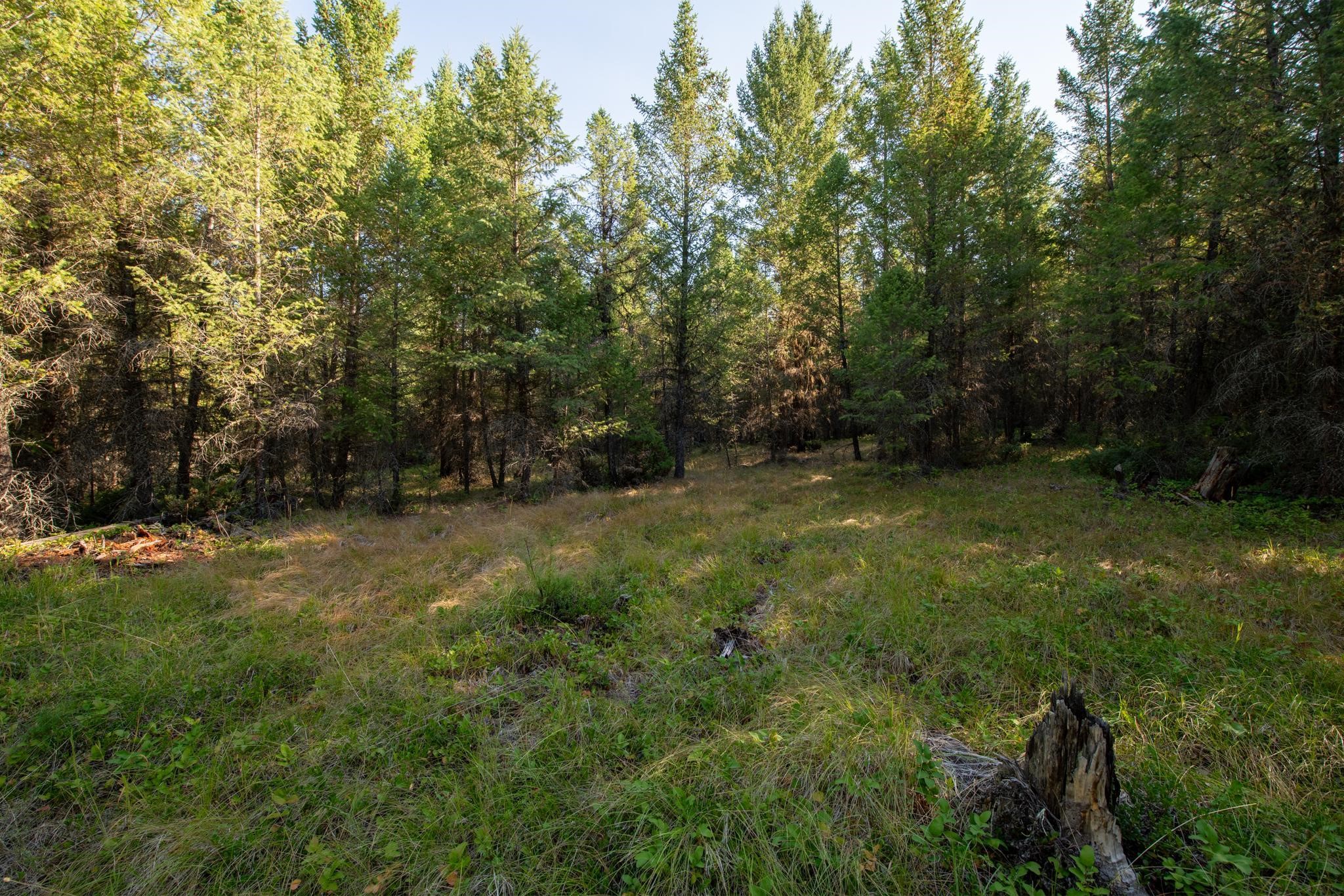 Lot 16 Evergreen Drive