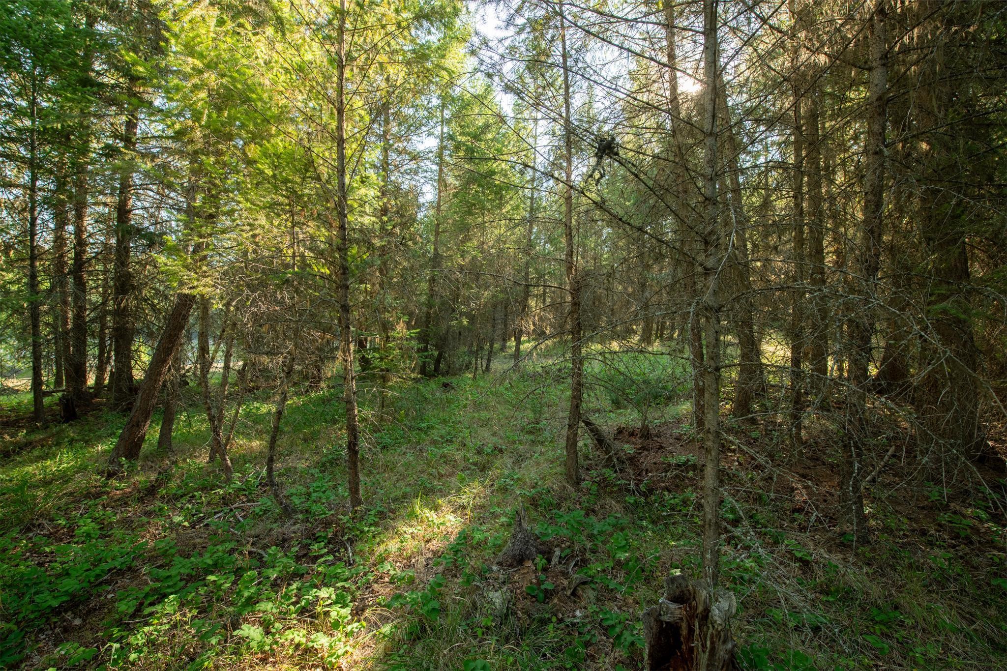 Lot 16 Evergreen Drive