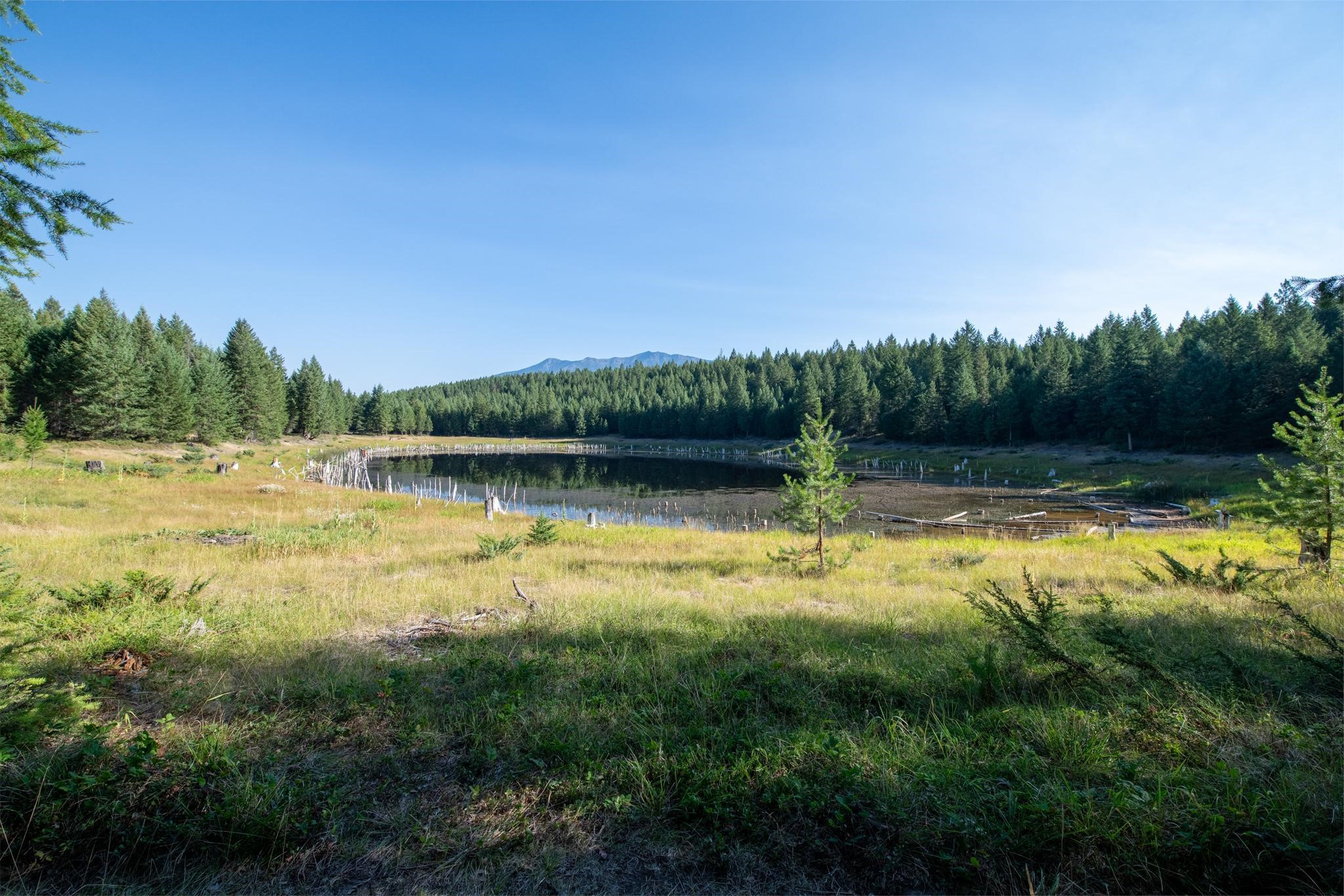 Lot 16 Evergreen Drive