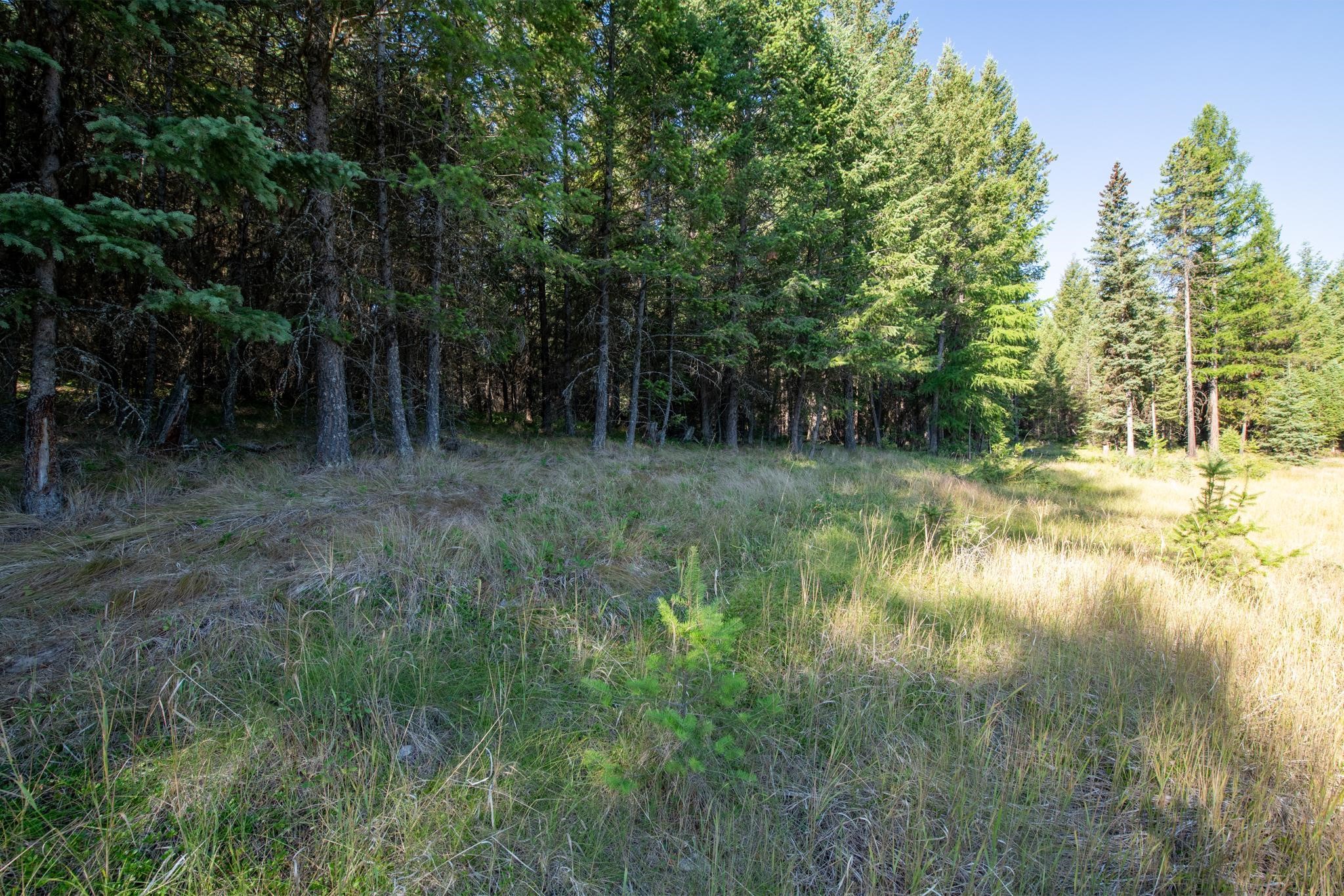 Lot 16 Evergreen Drive