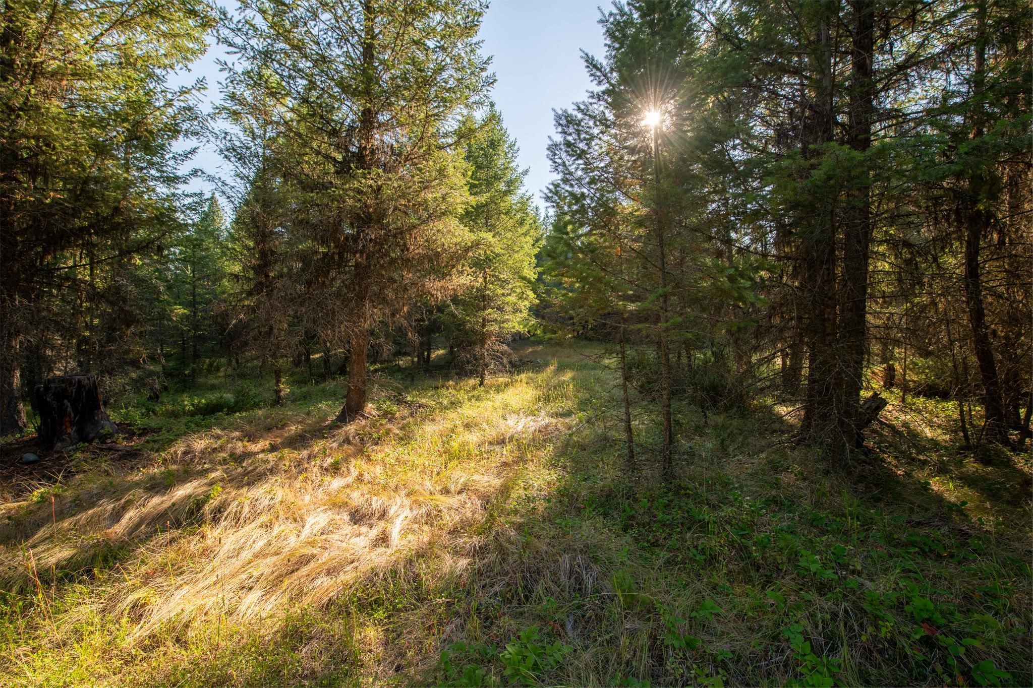 Lot 16 Evergreen Drive