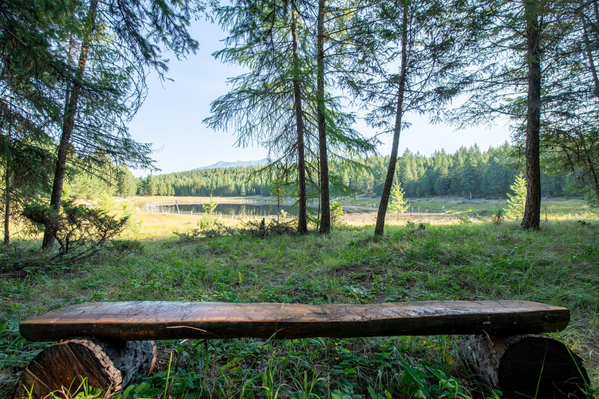 Lot 16 Evergreen Drive