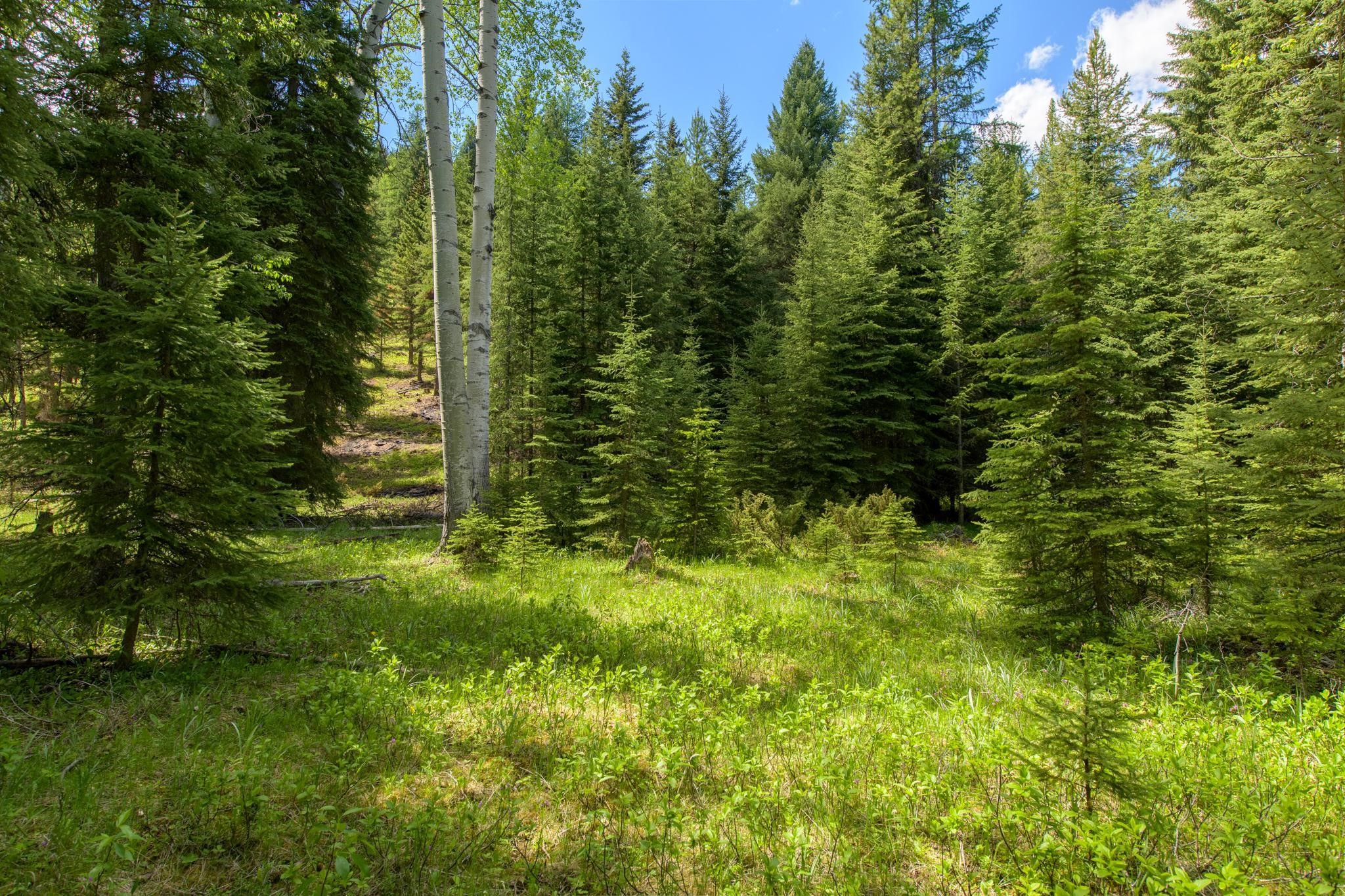 367 Angel Point Trail