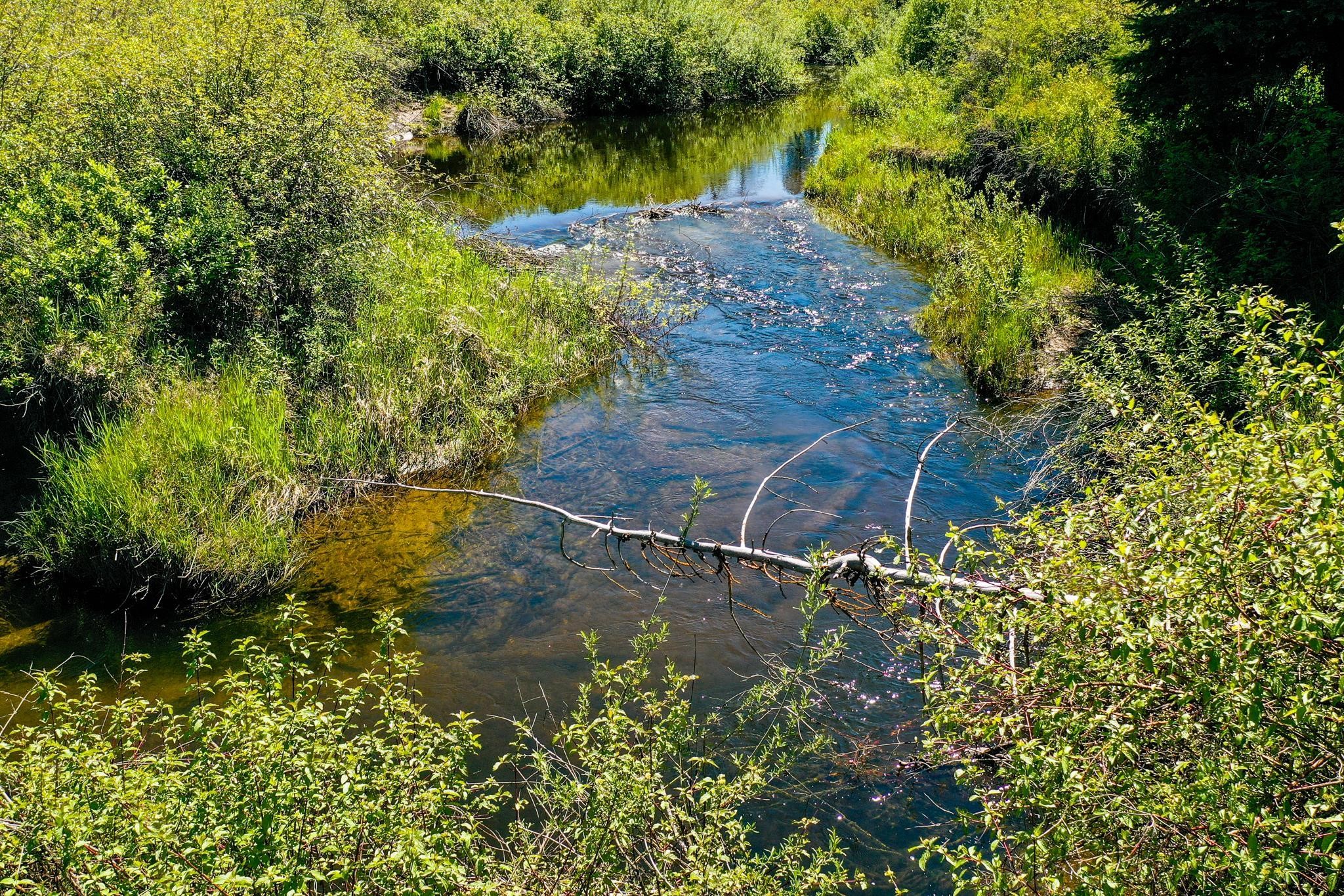 367 Angel Point Trail