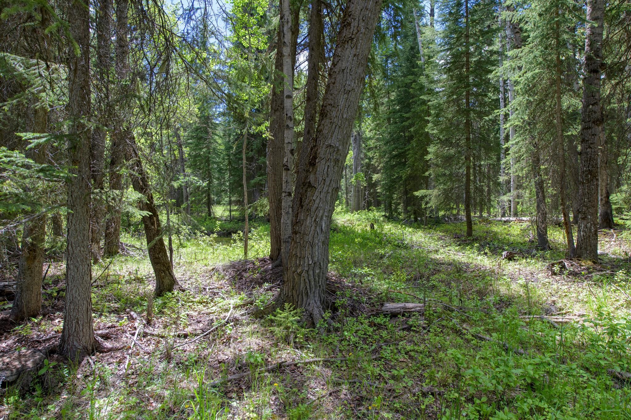 367 Angel Point Trail