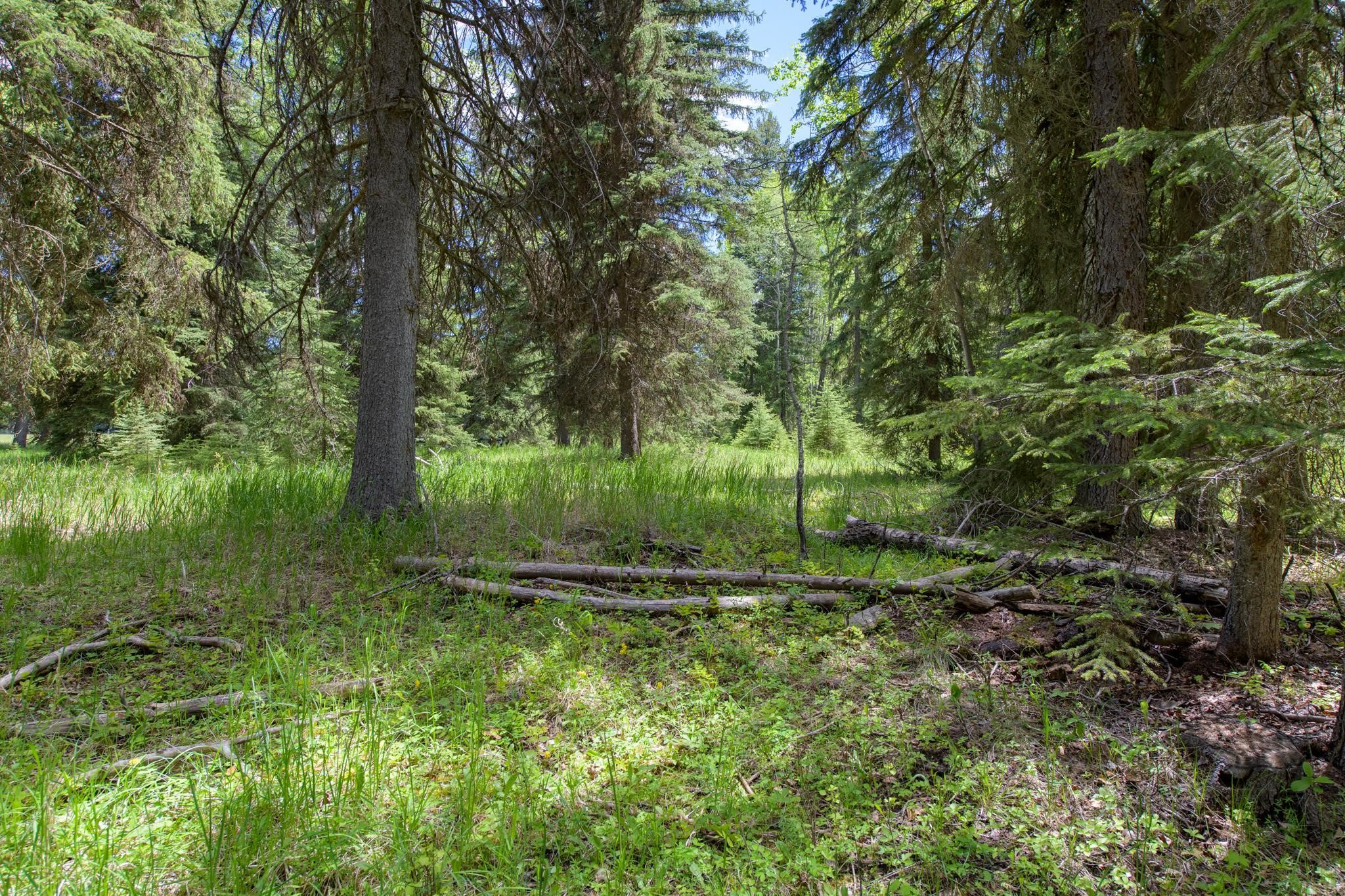 367 Angel Point Trail