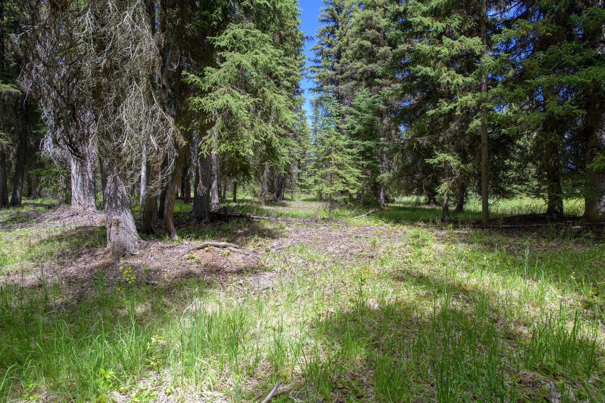 367 Angel Point Trail