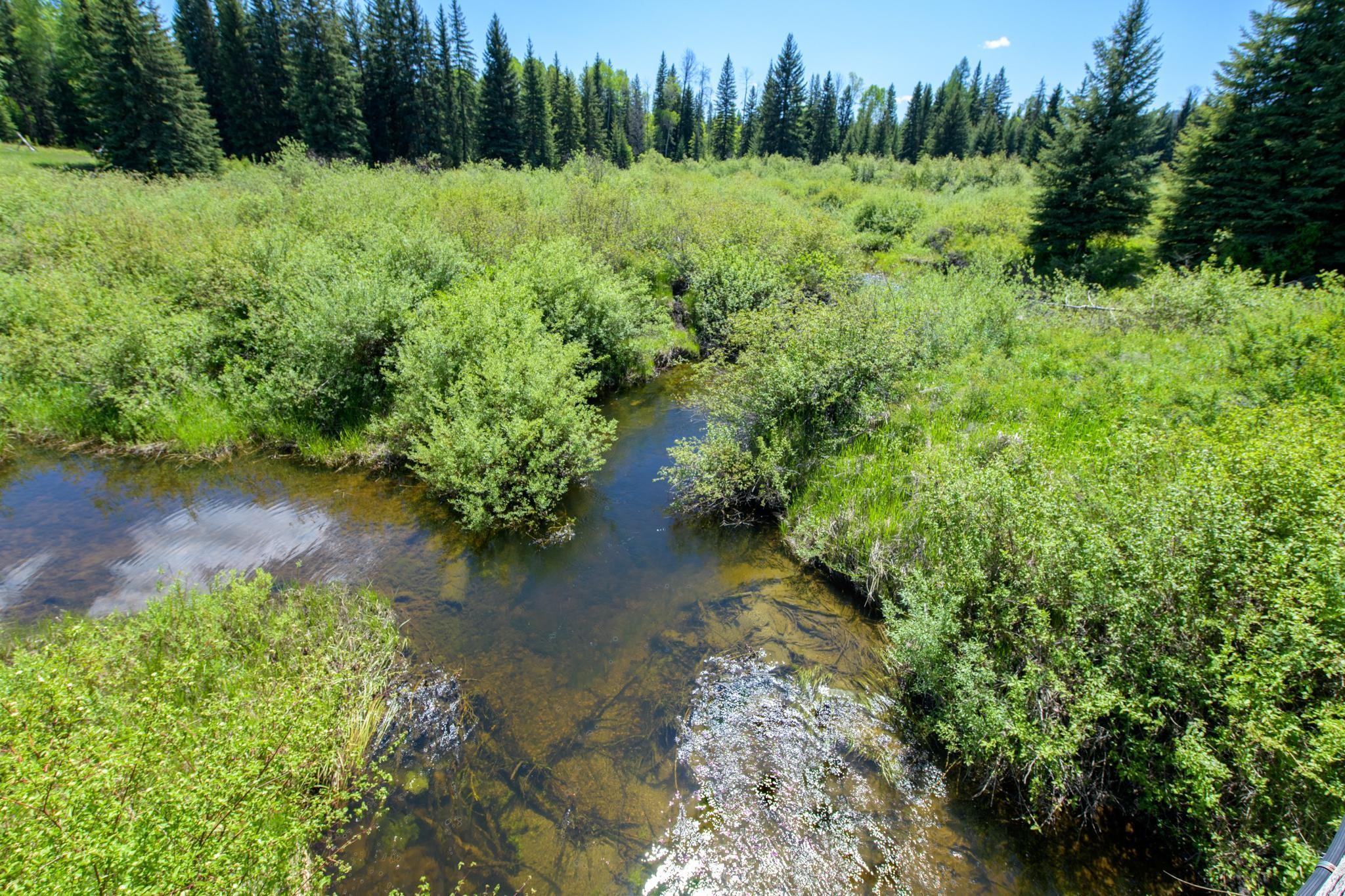 367 Angel Point Trail