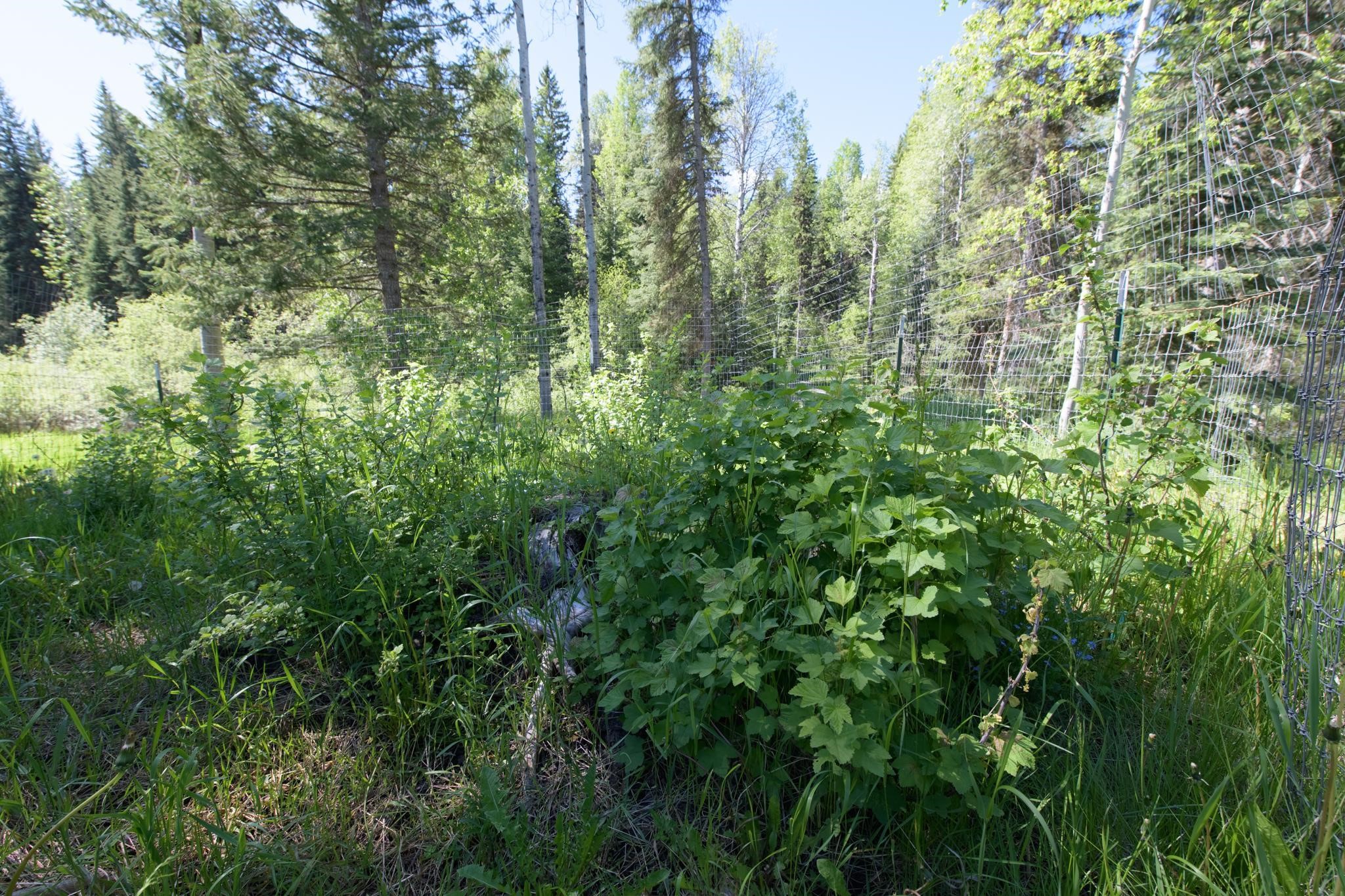 367 Angel Point Trail