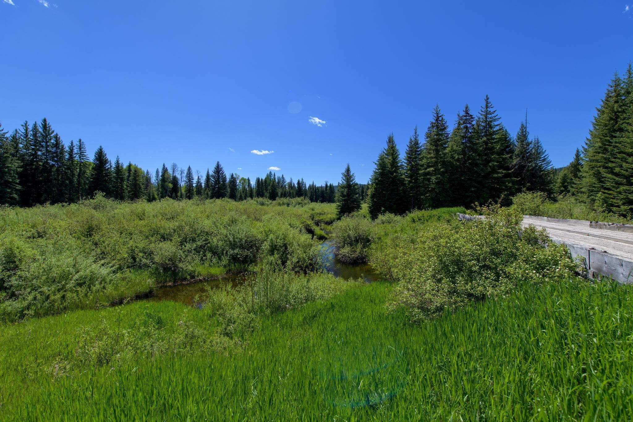 367 Angel Point Trail