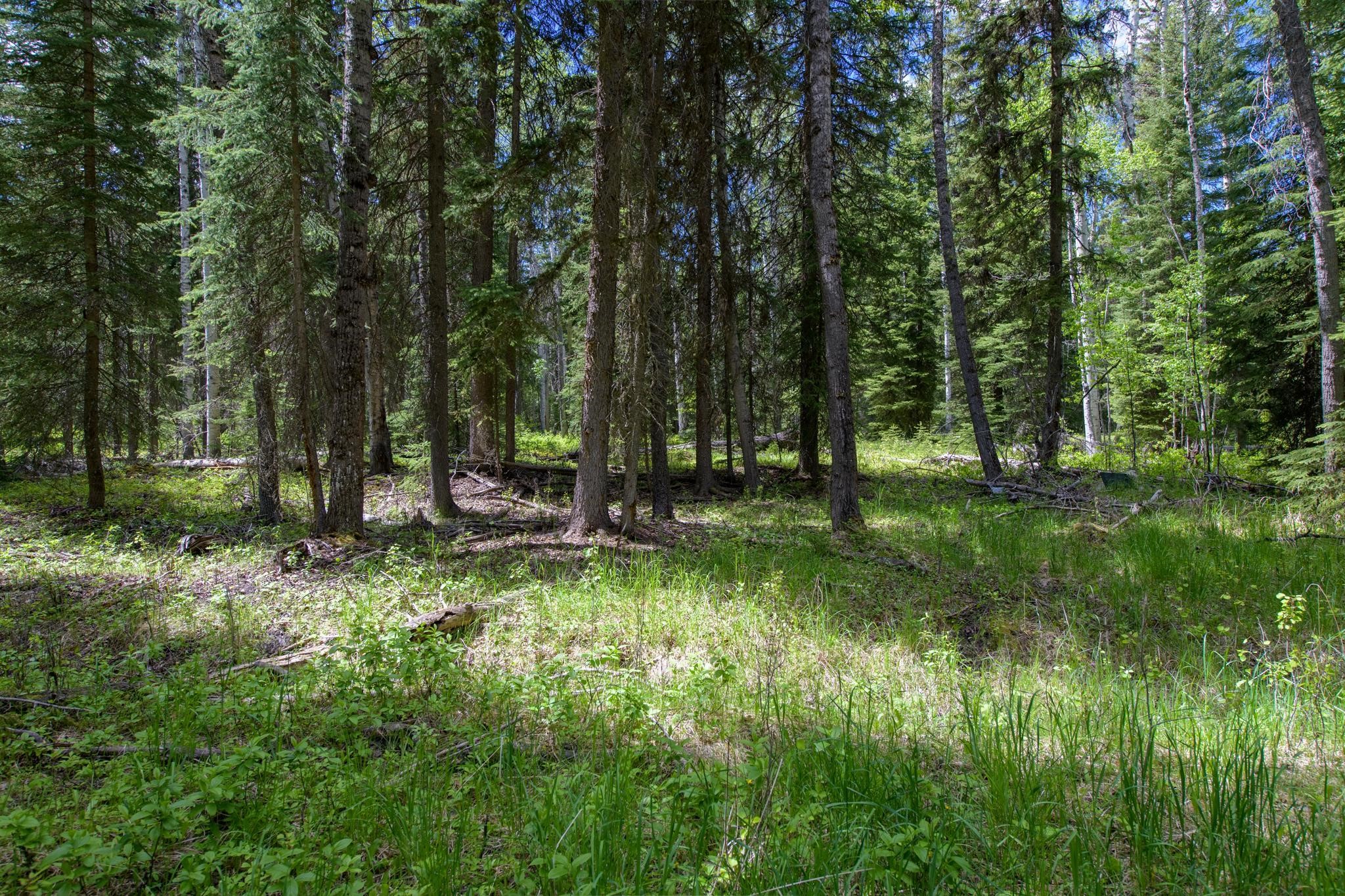 367 Angel Point Trail