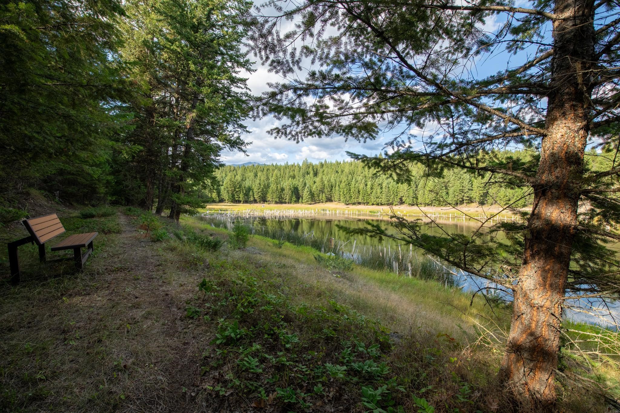 Lot 18 Evergreen Drive