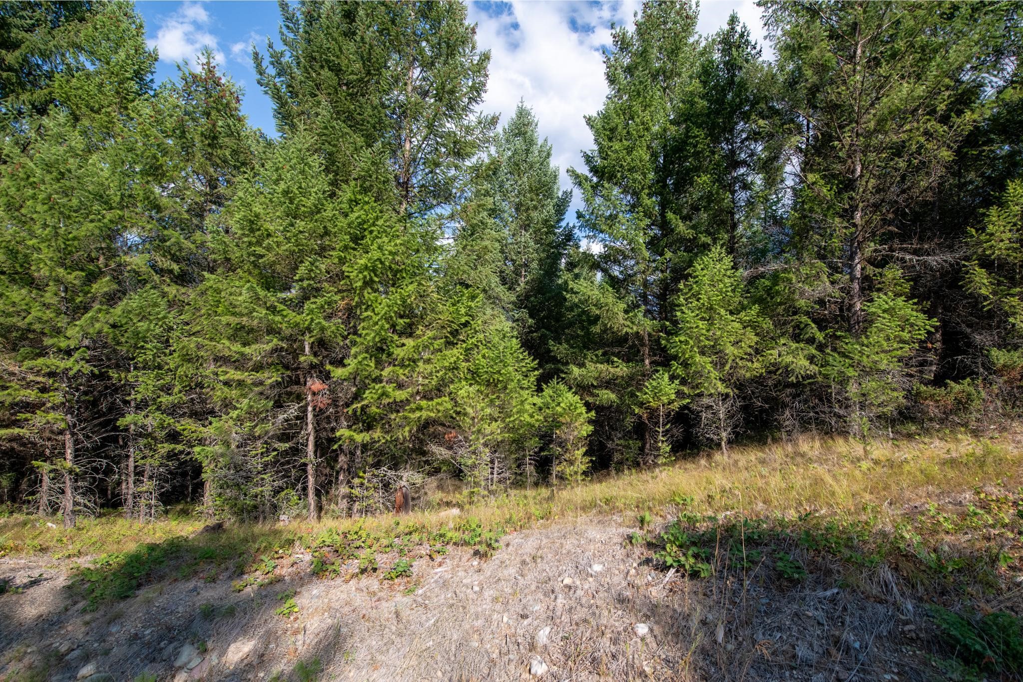 Lot 18 Evergreen Drive