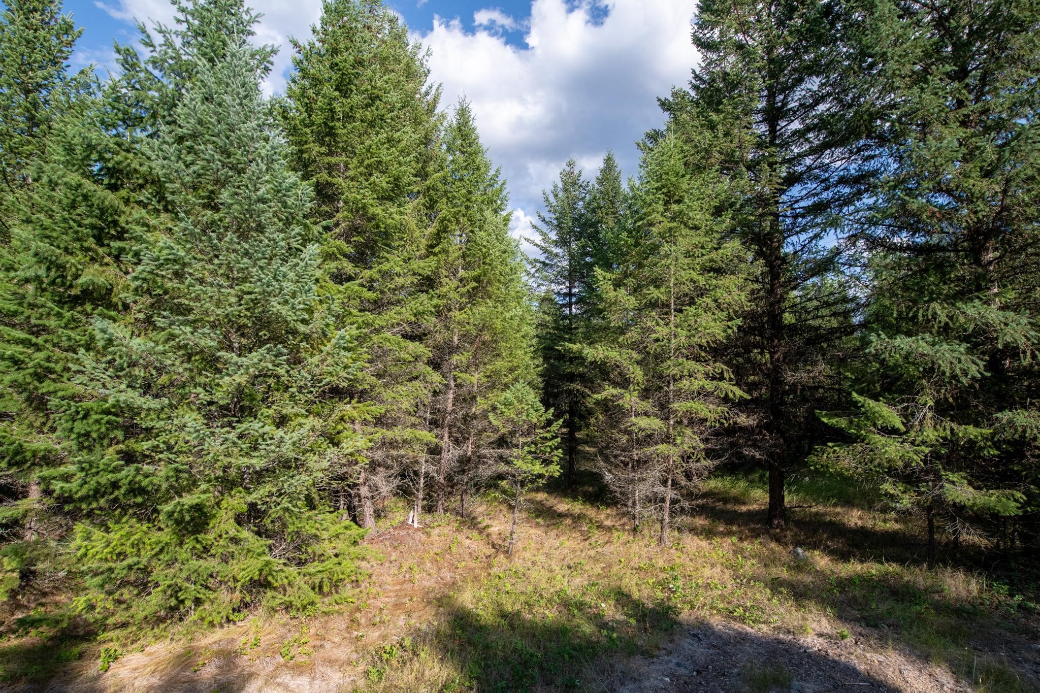 Lot 18 Evergreen Drive