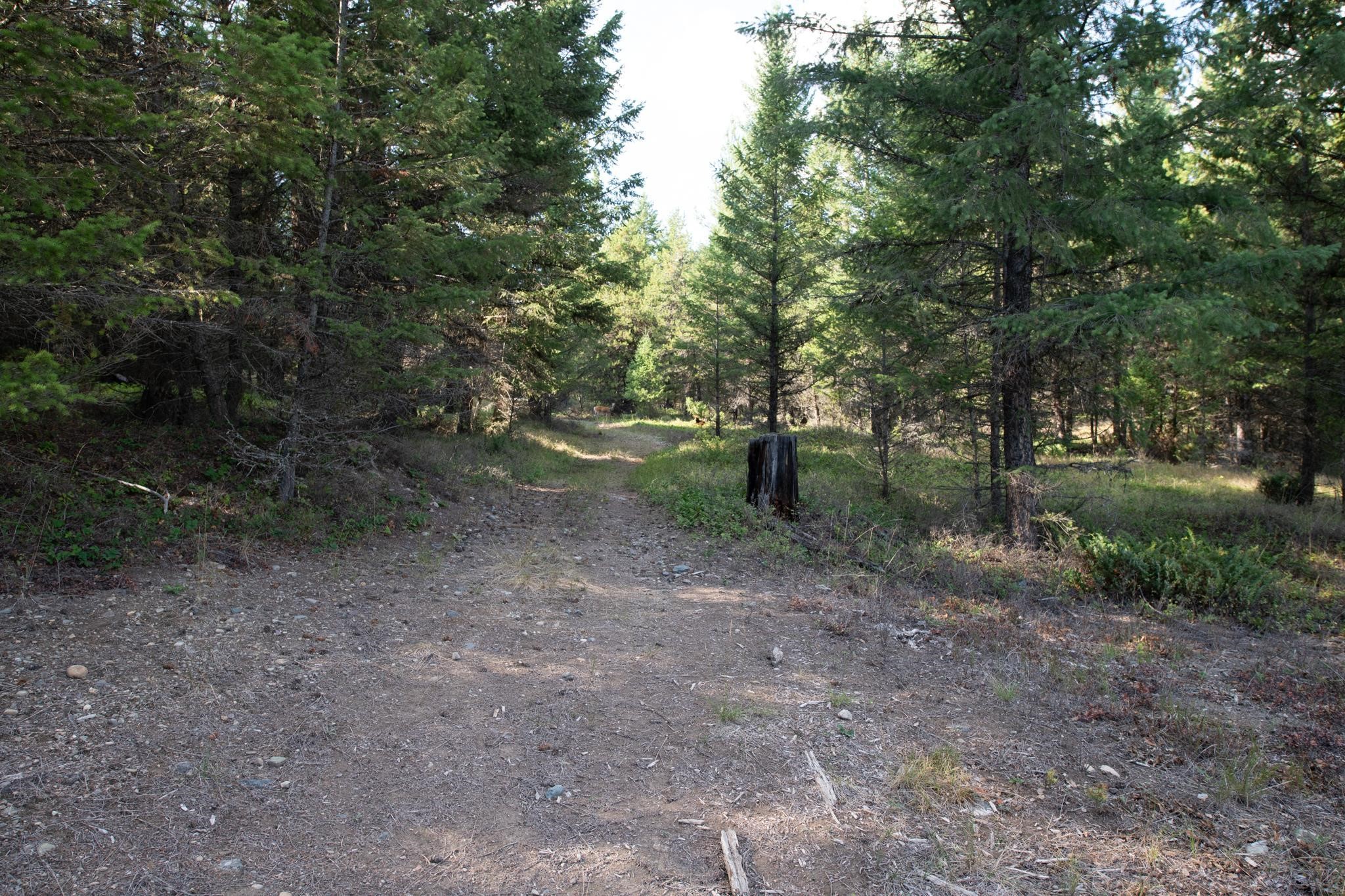 Lot 18 Evergreen Drive