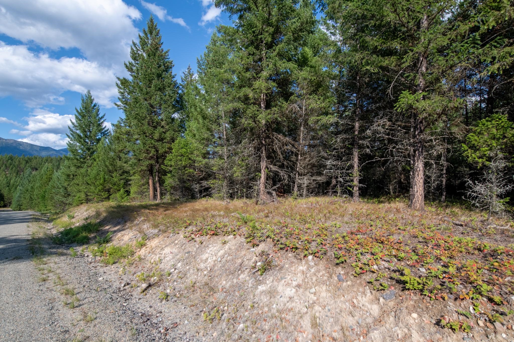 Lot 18 Evergreen Drive