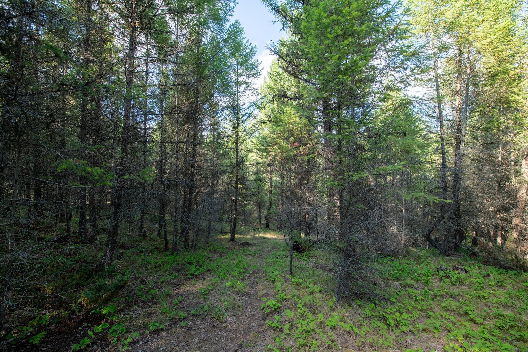 Lot 18 Evergreen Drive