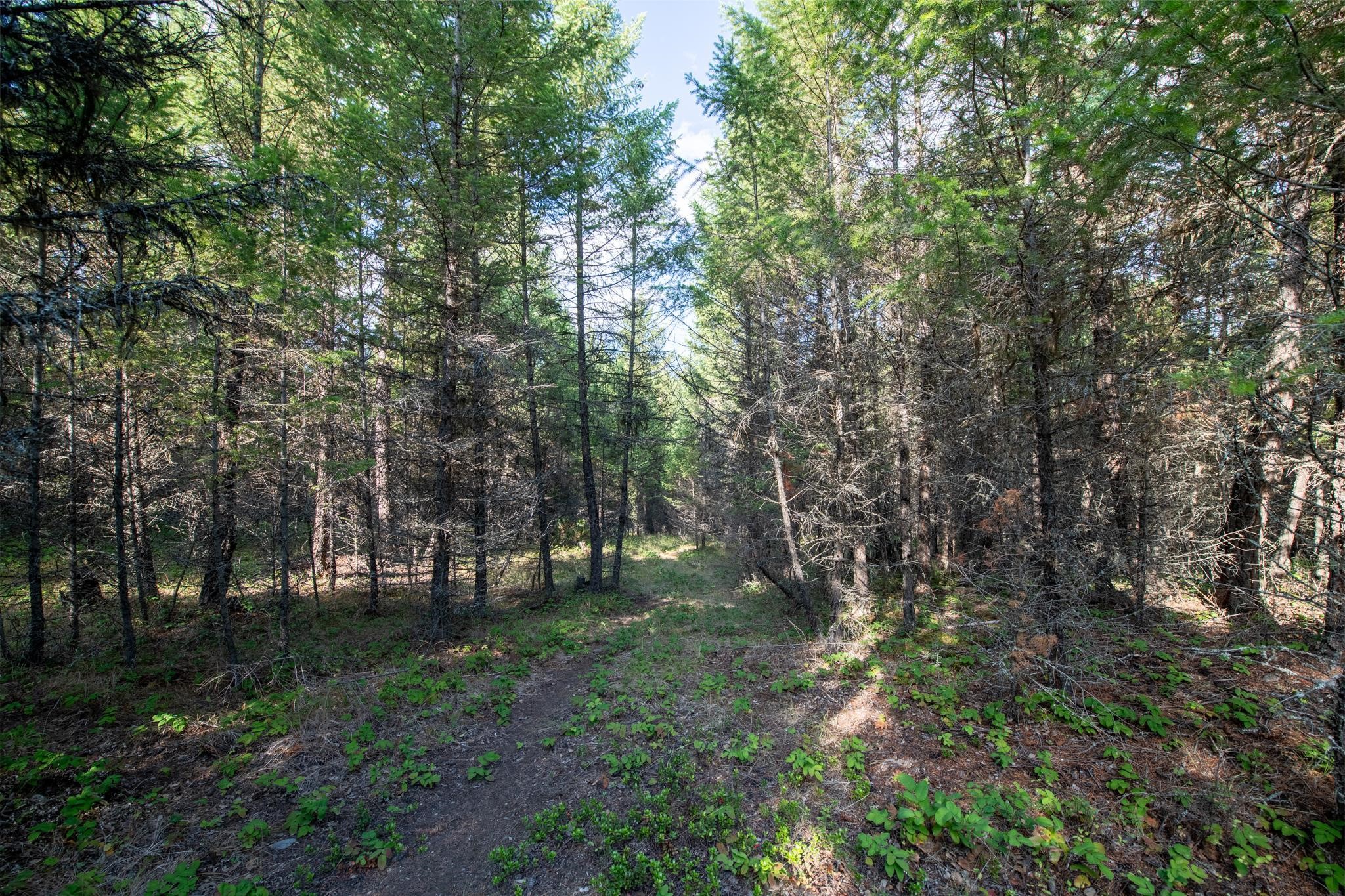 Lot 18 Evergreen Drive