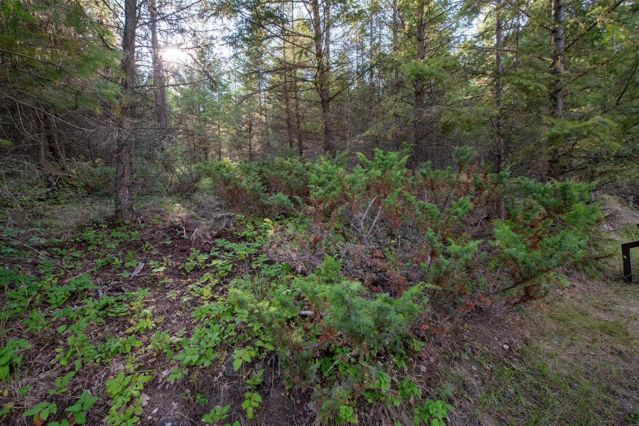 Lot 18 Evergreen Drive