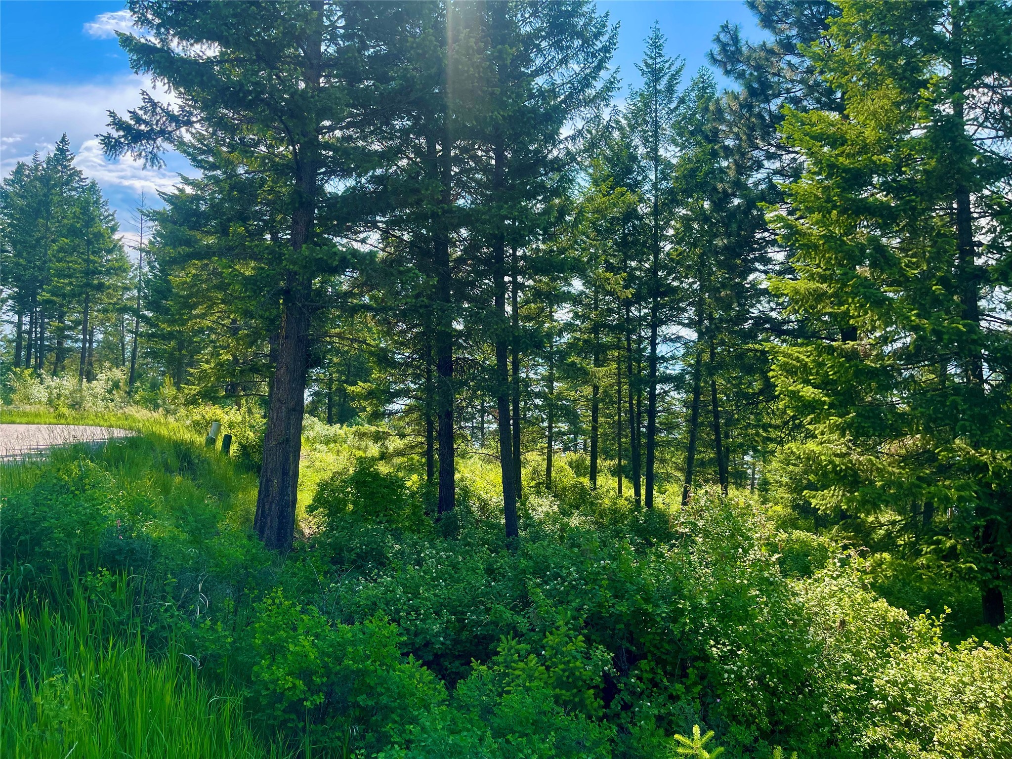 288 Whisper Ridge Drive