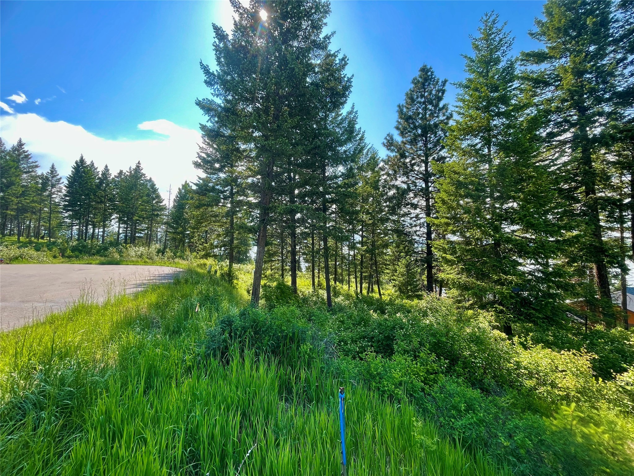 288 Whisper Ridge Drive