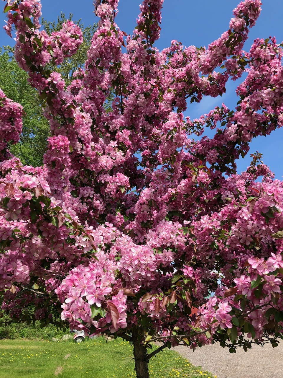 2615 Helena Flats Road