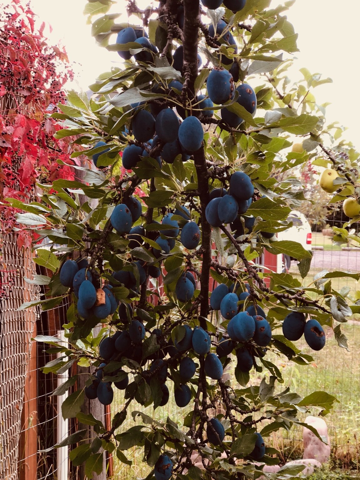 2615 Helena Flats Road