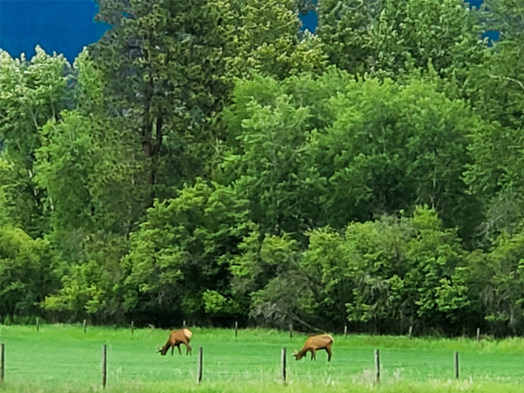 2615 Helena Flats Road