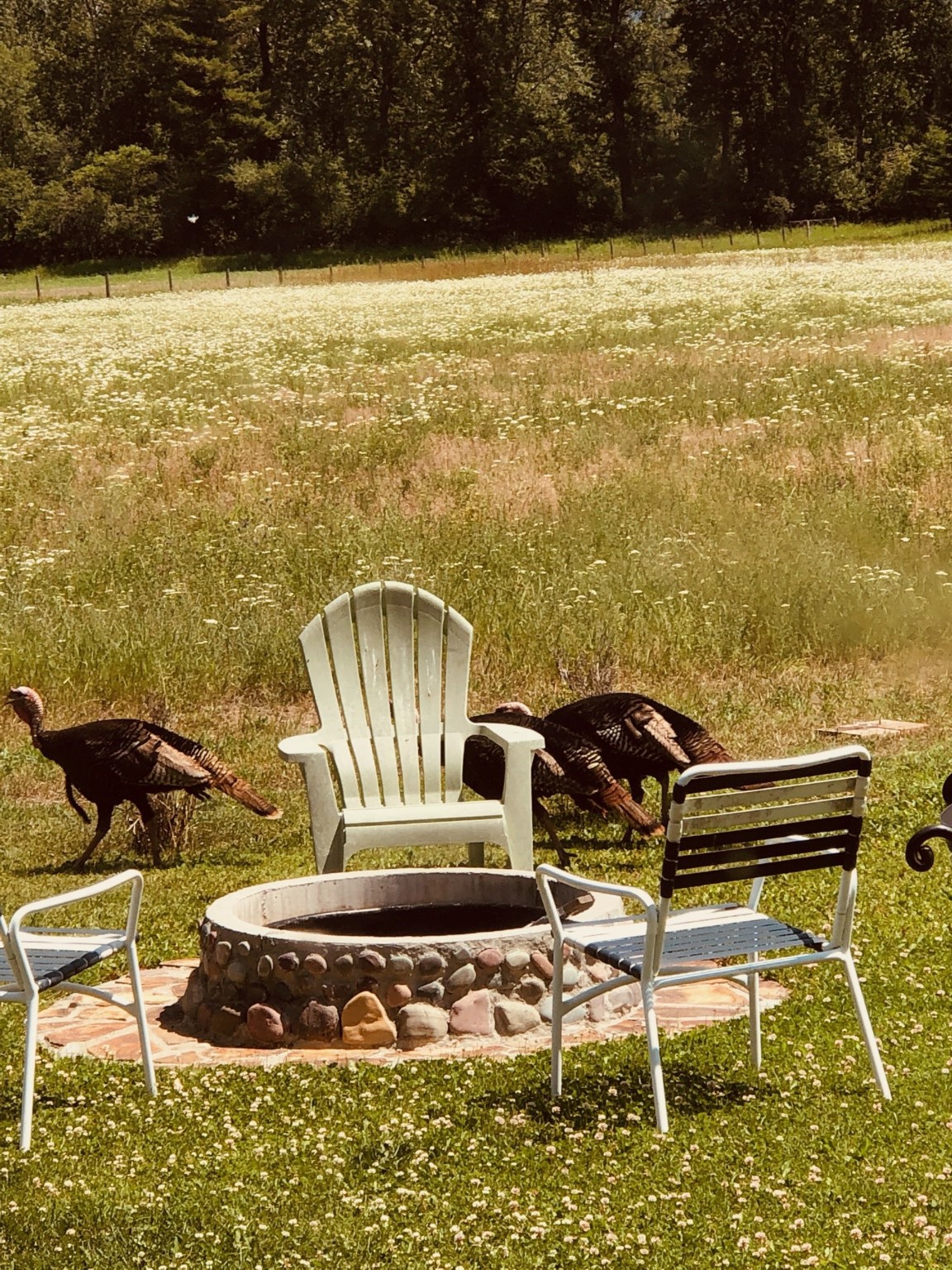 2615 Helena Flats Road