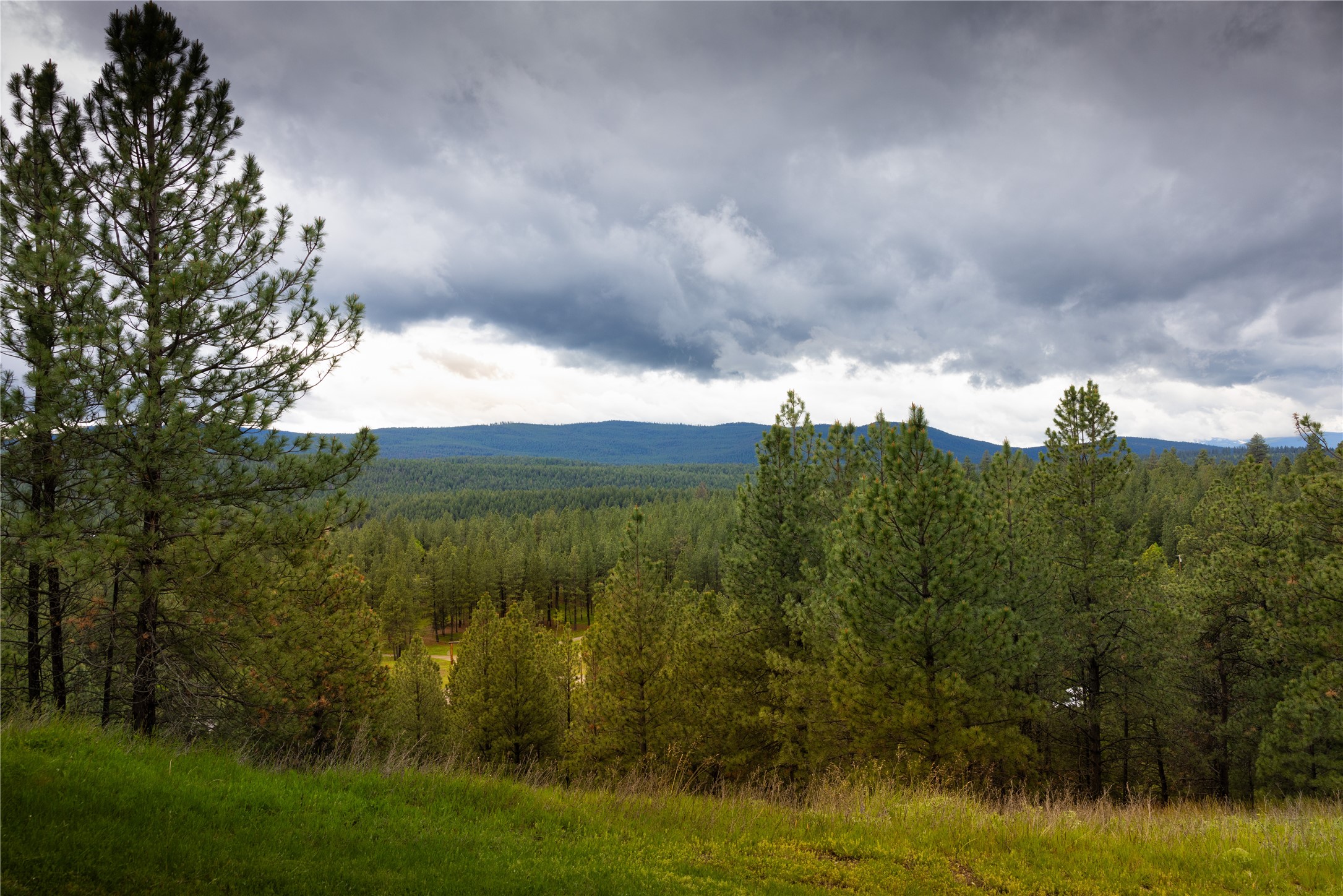 2801 Us Highway 93 S