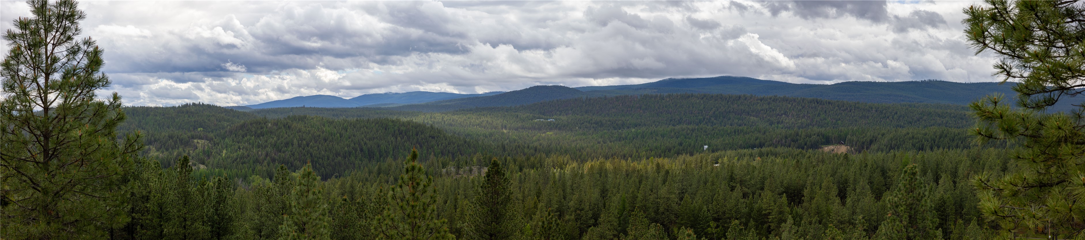 2801 Us Highway 93 S