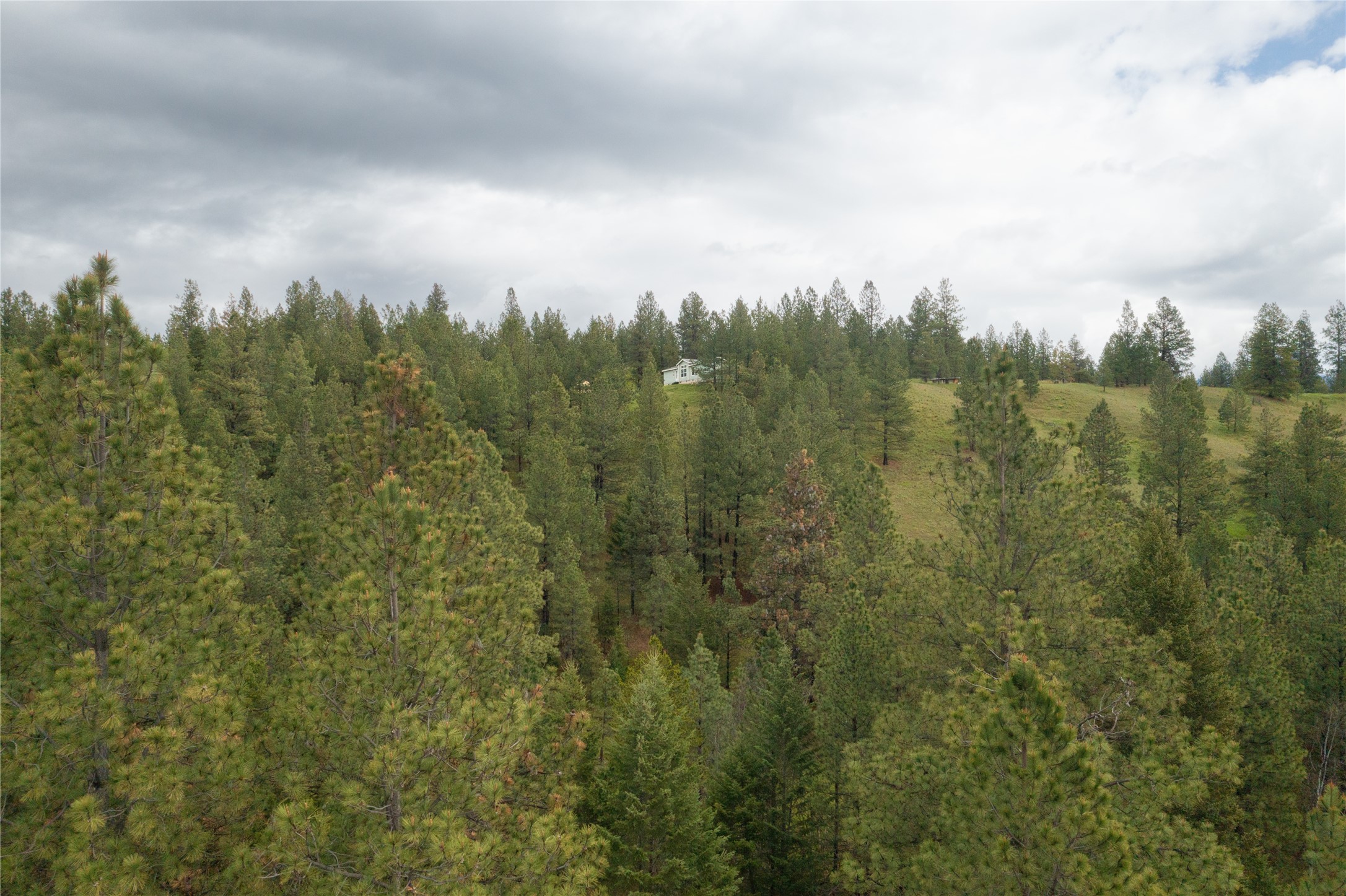 2801 Us Highway 93 S