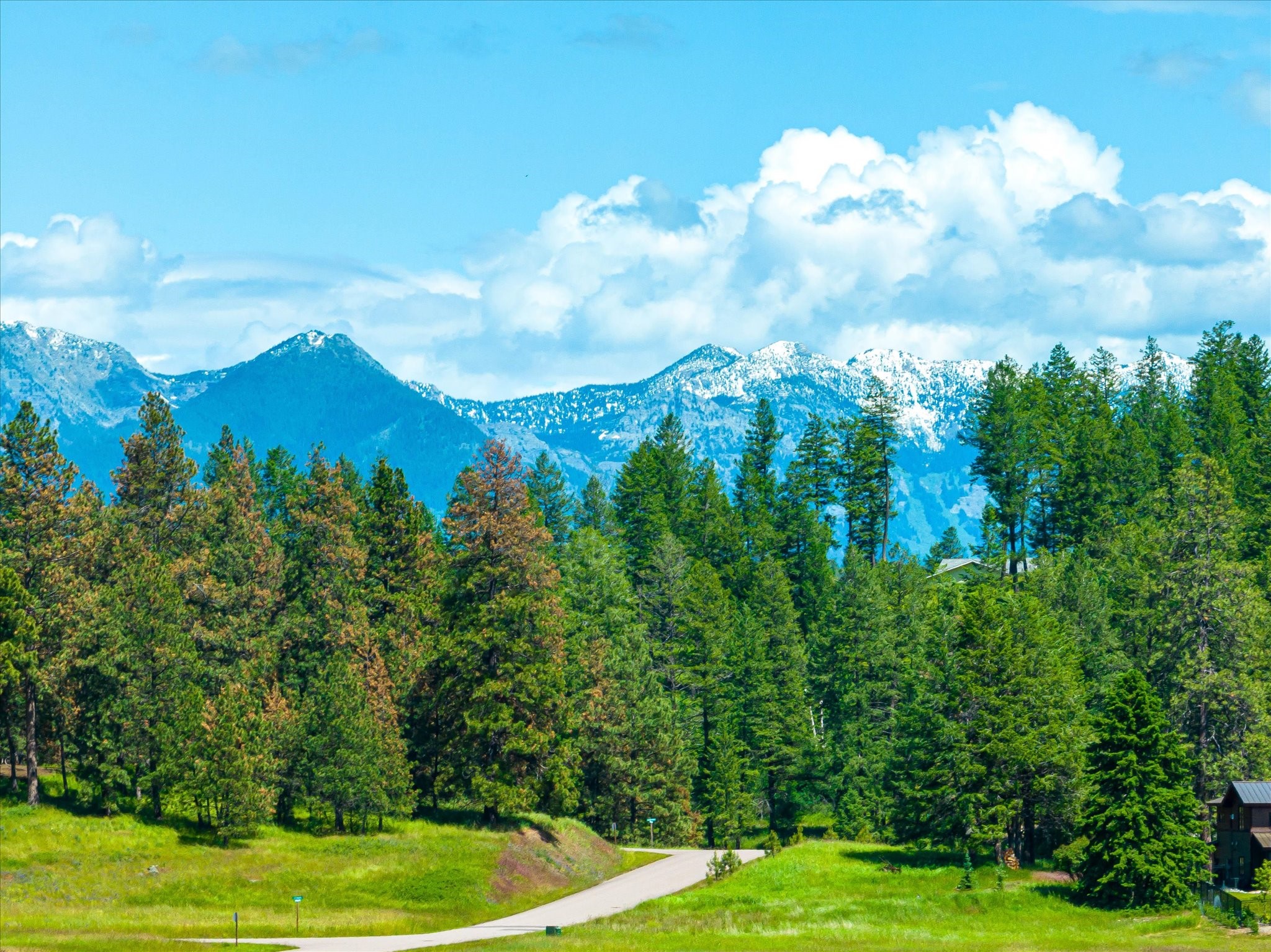 1406 Ponderosa Ridge Drive