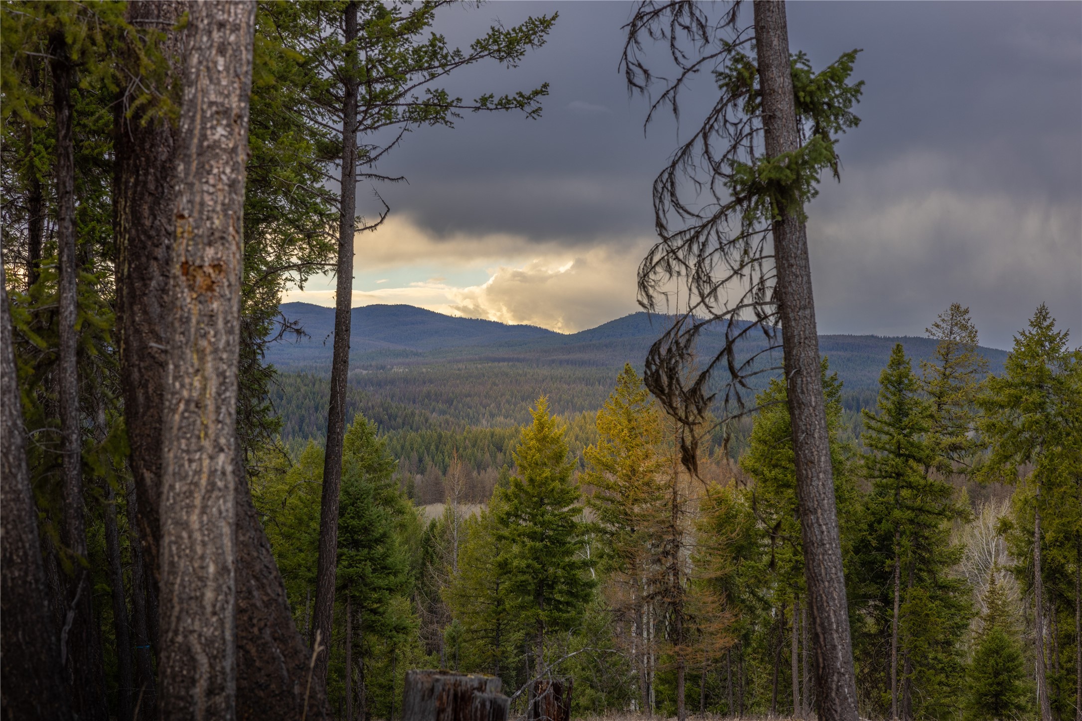 5151 Fortine Creek Road