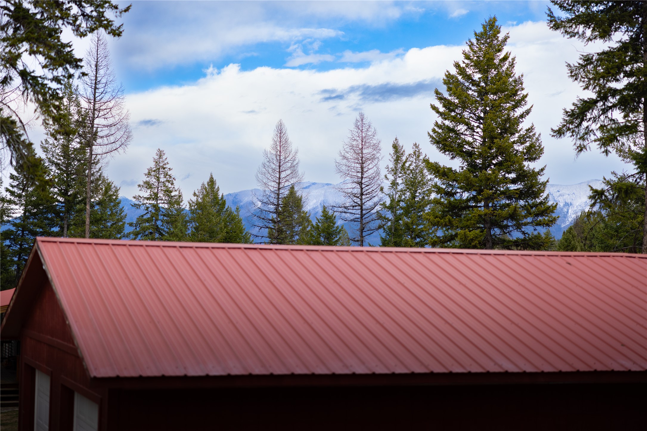 5151 Fortine Creek Road