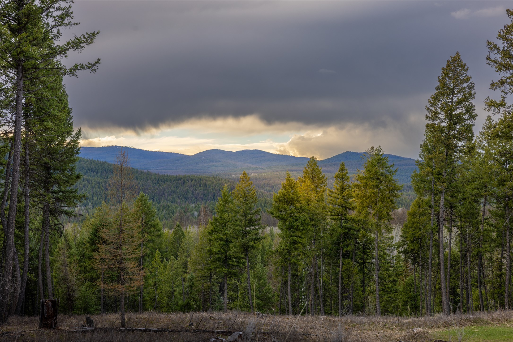 5151 Fortine Creek Road