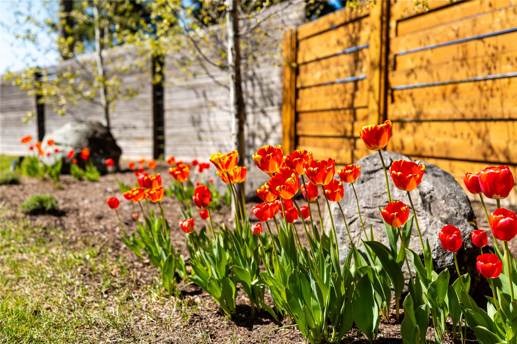 700 Wolf Creek Drive