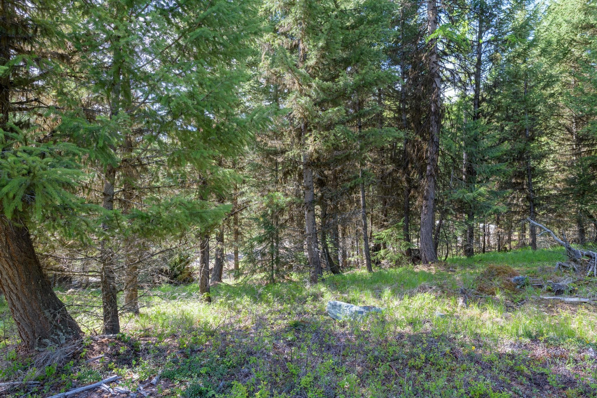 Lot 7 Tamarack Lane