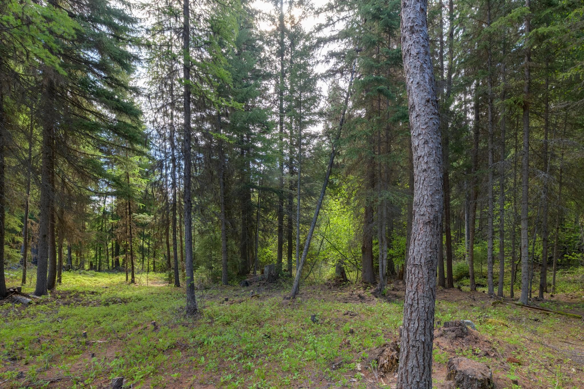Lot 7 Tamarack Lane