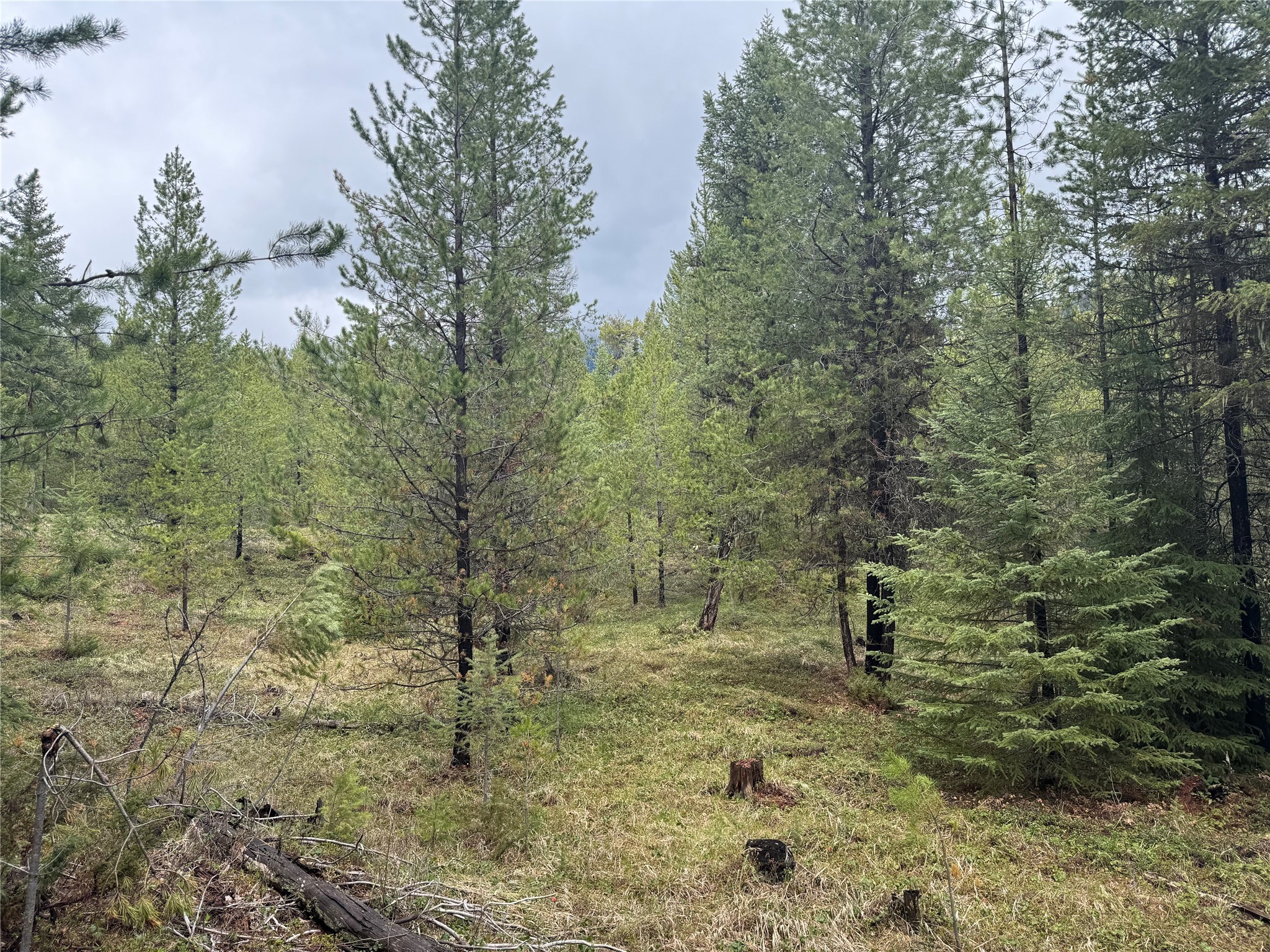 965 Ksanka Foothills Road