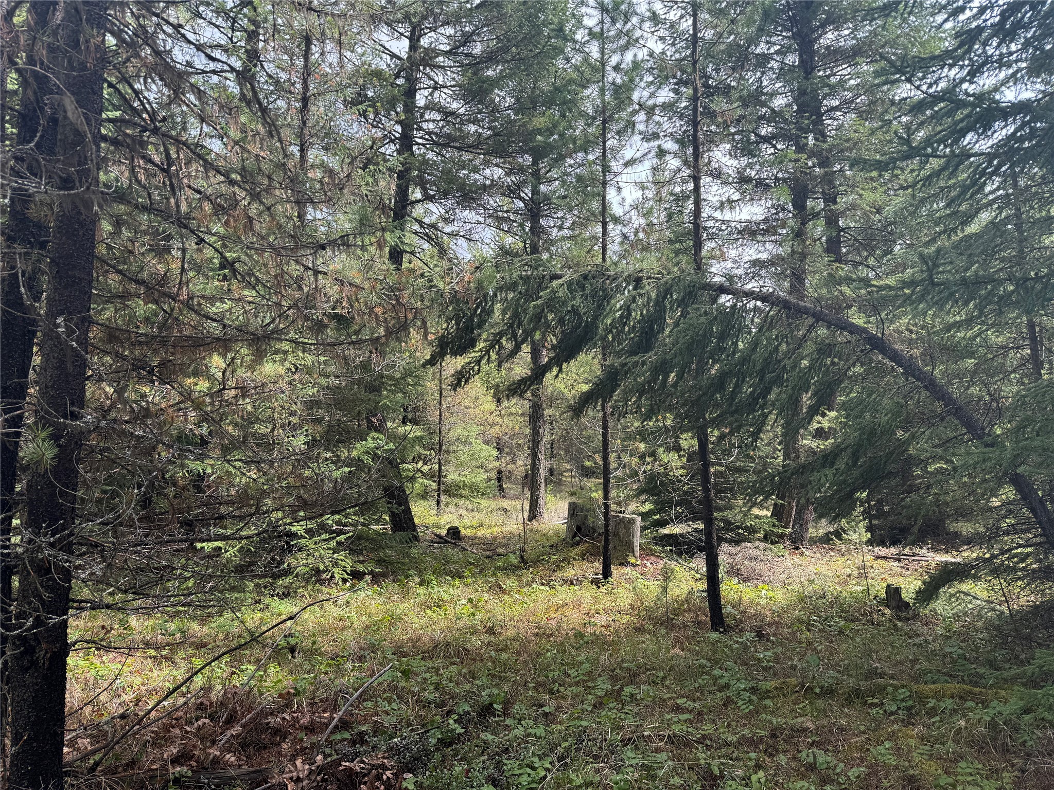 965 Ksanka Foothills Road