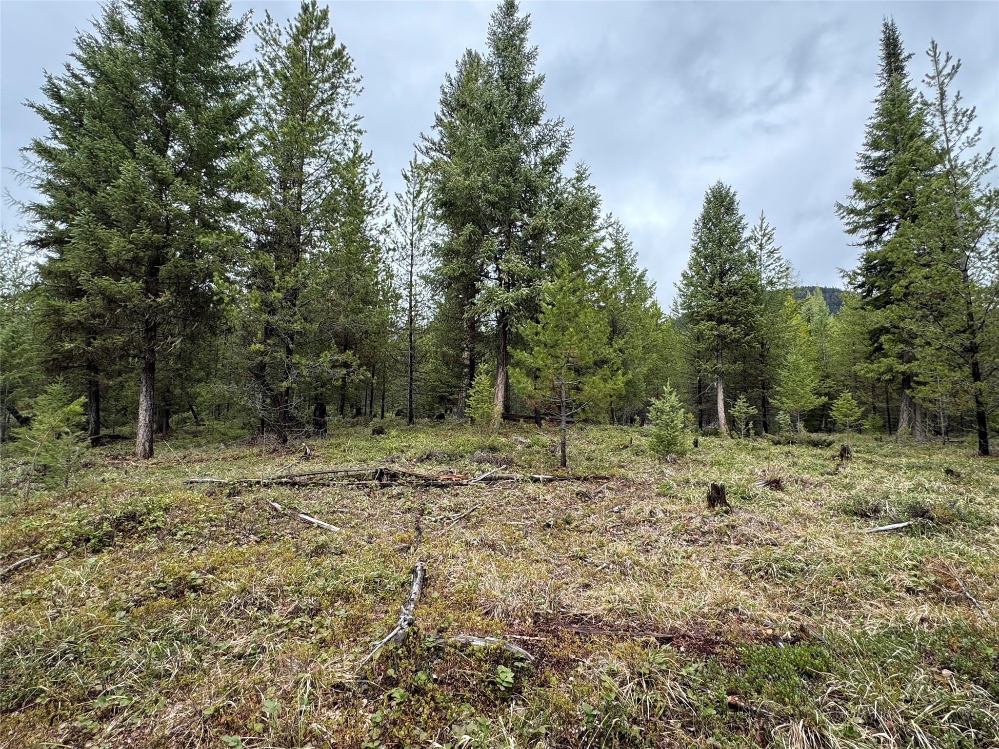965 Ksanka Foothills Road