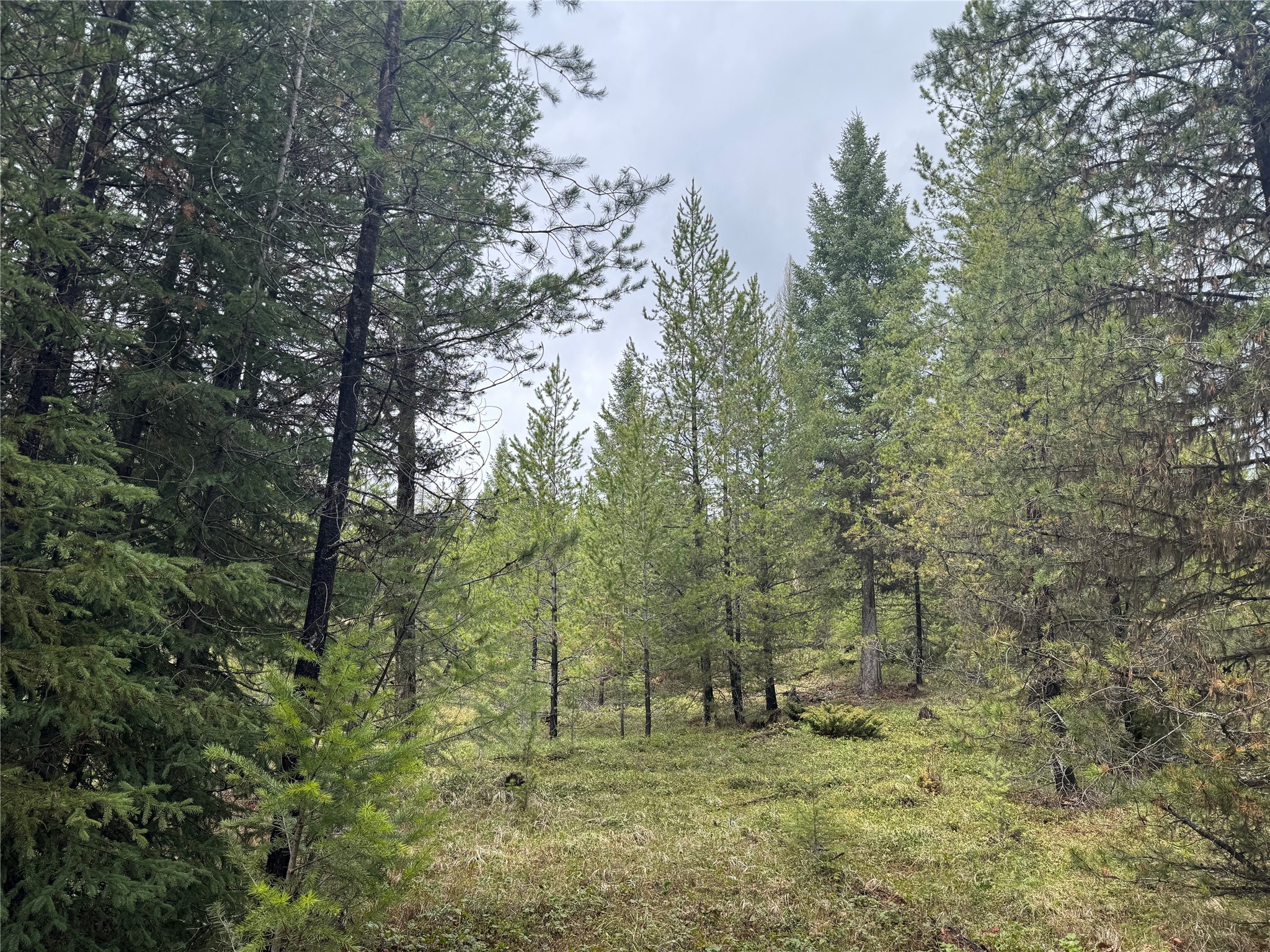 965 Ksanka Foothills Road